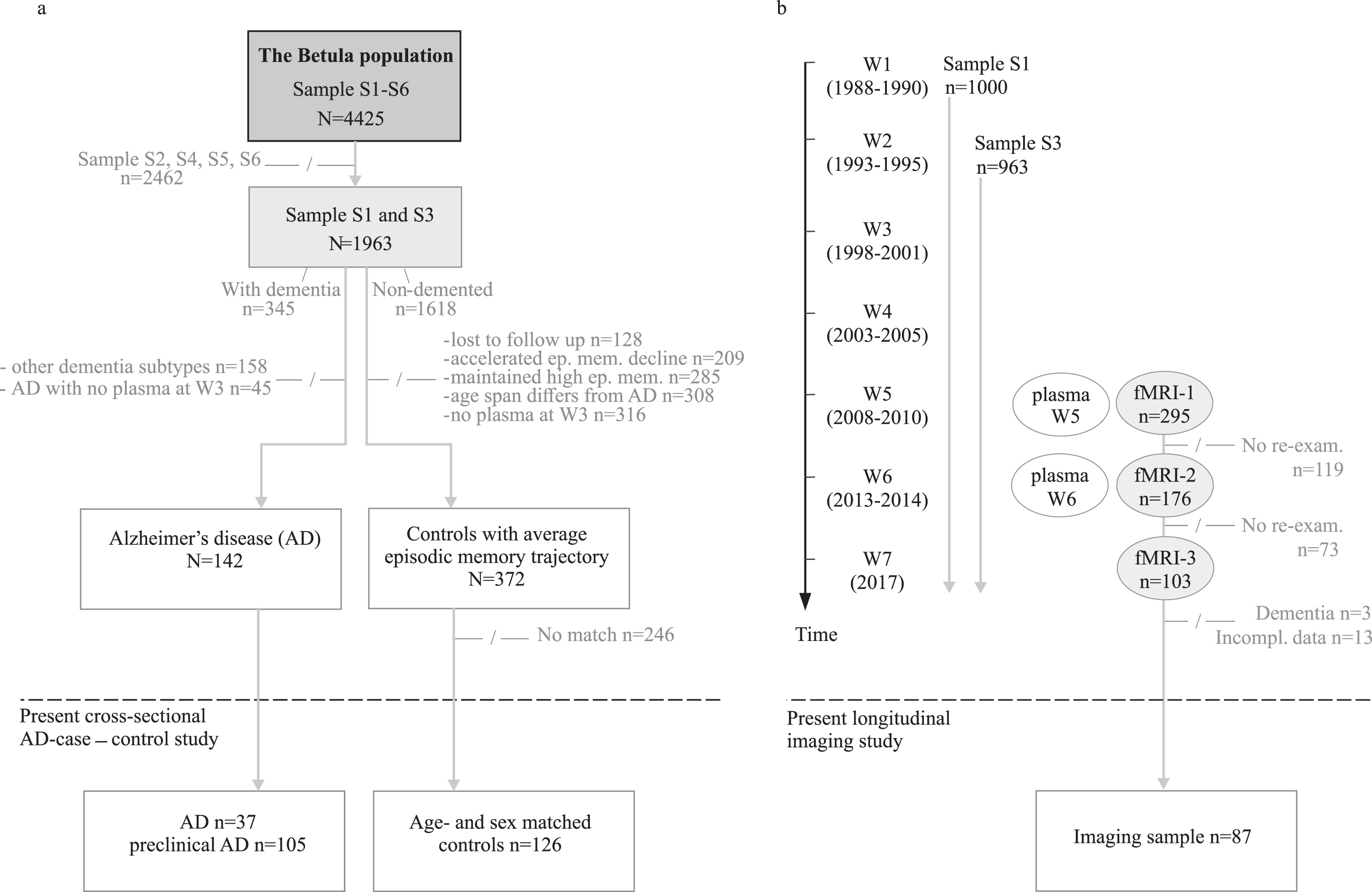 a) Flowchart of cross-sectional AD-case –control study with Wave 3 (W3) as study baseline, and (b) longitudinal imaging study with Wave 5 as study baseline. –/–, not included in the present study; W, wave; S, sample.