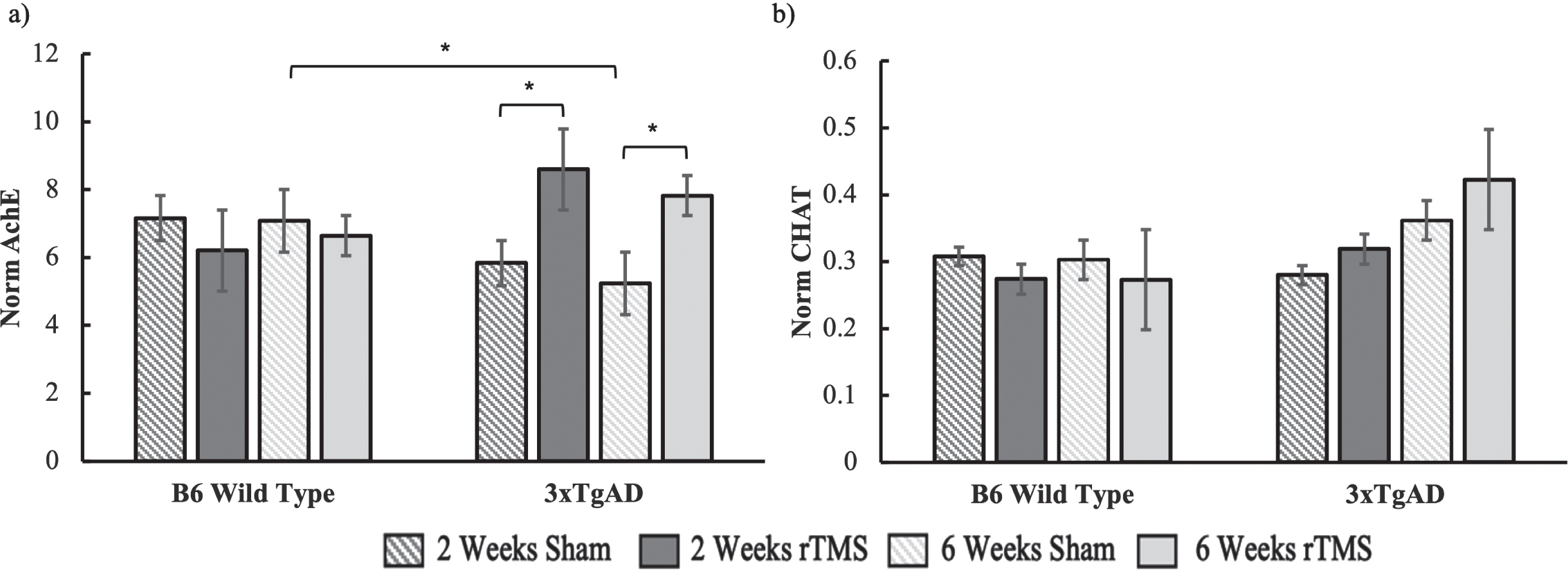 a) AChE and b) ChAT activity for both the B6 and 3xTgAD mice in the 2-week and 6-week groups. Error bars represent the standard error; *p < 0.05. Sample size per group are as follows: B6 rTMS 2 weeks = 15, B6 Sham 2 weeks = 13, B6 rTMS 6 weeks = 14, B6 Sham 6 weeks = 12 3xTgAD rTMS 2 weeks = 12, 3xTgAD Sham 2 weeks = 12, 3xTgAD rTMS 6 weeks = 14, 3xTgAD Sham 6 weeks = 11.