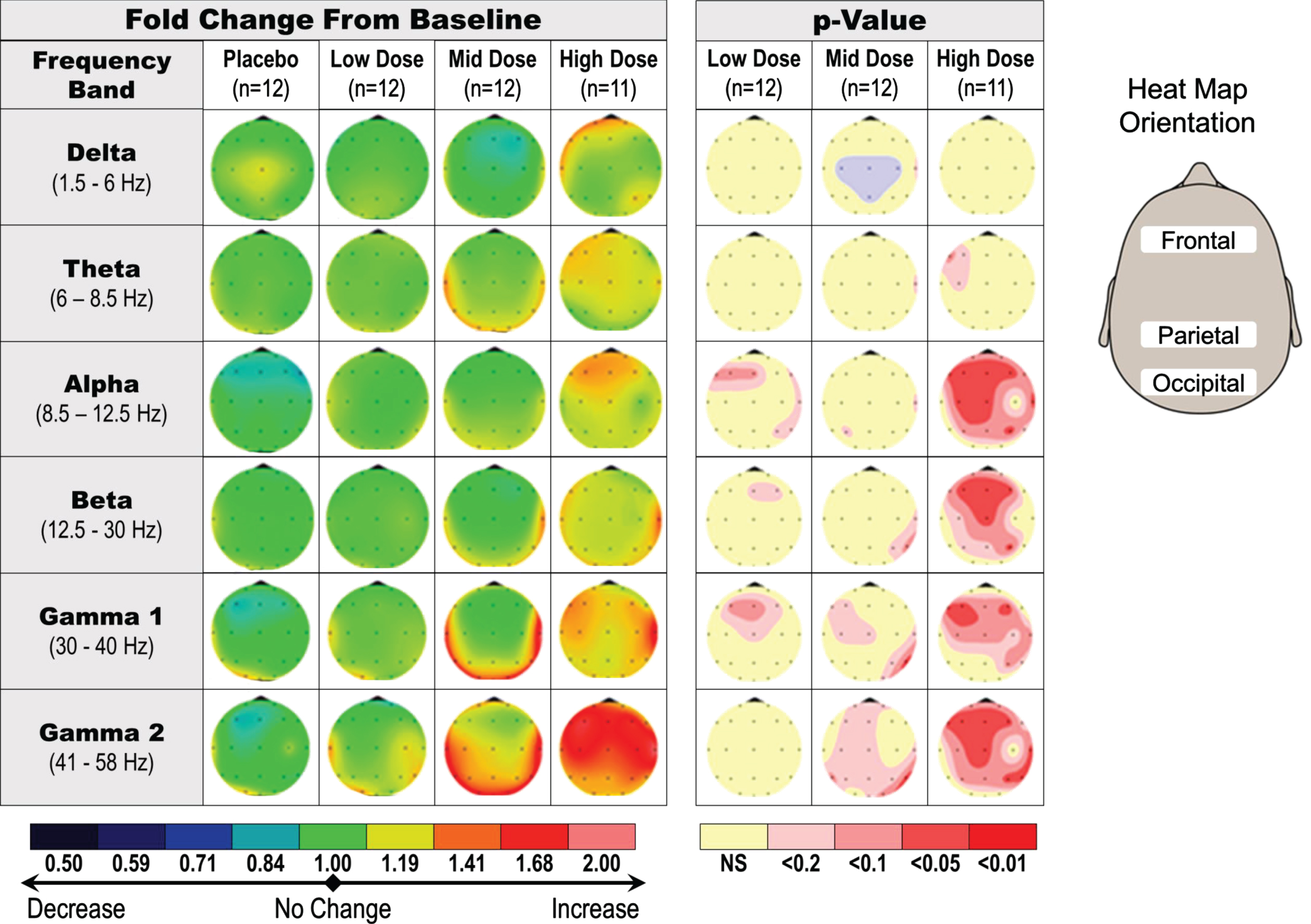Dose-dependent increase in qEEG gamma induction in healthy young subjects receiving a single dose of fosgonimeton. SAD qEEG results illustrate the average change in absolute qEEG power from predose (baseline) to postdose, or the baseline ratio, for pooled placebo group, low doses (2 and 6 mg), middle doses (20 and 40 mg), and high doses (60 and 90 mg). Heat maps illustrate the average change in absolute qEEG power following administration of fosgonimeton (left) and associated p values from ANCOVA analysis (right; not corrected for multiple comparisons). ANCOVA, analysis of covariance; SAD, single ascending dose; qEEG, quantitative electroencephalogram.