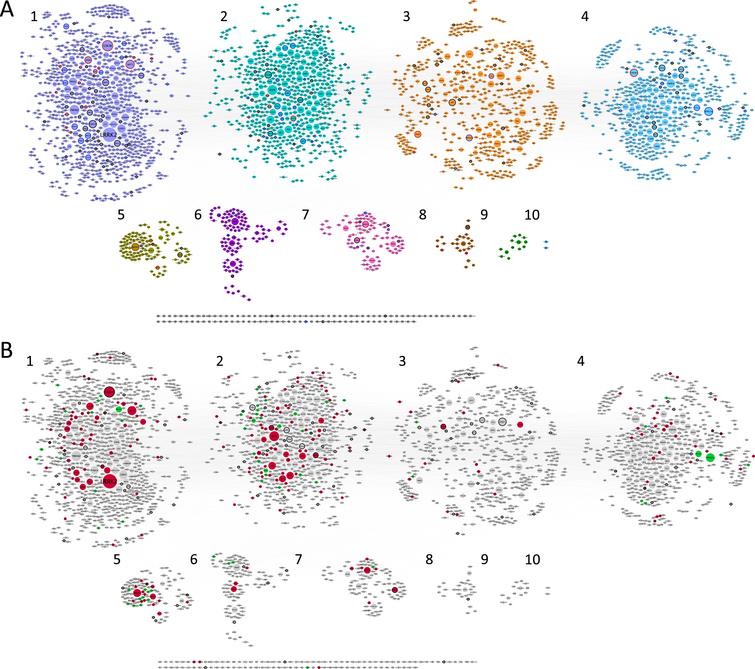 Synaptic AD/IS coincident network. Representation of all proteins retrieved from the interception between Alzheimer’s disease (AD), insulin signaling (IS), and the synapse. Community cluster (GLay) from ClusterMaker 2.0 was used to create the communities. Node size increases with higher values of betweenness centrality. A) Each community/cluster is highlighted in a different color. Key AD proteins are marked with a black circumference, key IS proteins with a dark grey circumference, and nodes common to both with a red circumference. B) Network with kinases filled in red, catalytic subunits of protein phosphatases filled in green and genetic risk factors for AD marked with a black circumference. Clusters are numbered left to right, top panel (clusters 1 to 4) and bottom panel (clusters 5 to 10), several proteins (102) are not integrated into clusters.