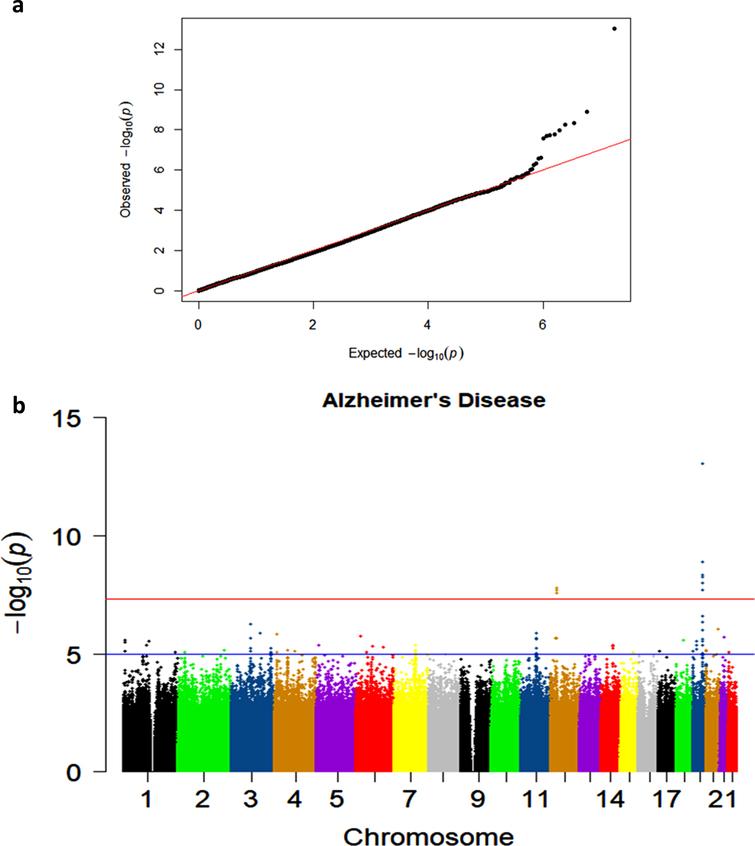 a) Quantile-quantile plot showing observed versus expected p-values for the AD Dementia analysis. b) Manhattan plot showing genome-wide p-values for the association with AD. The threshold for genome-wide significance (p < 5E-08) is indicated by the red line and the threshold for suggestive significance (p < 1E-05) is indicated by the blue line.