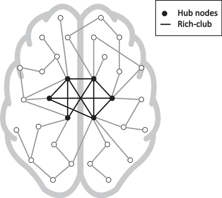 Graphical representation of a network with a rich-club configuration. The high nodes with high nodal degree (black in the graph) have a high number of connections between each other (indicated by the black edges).