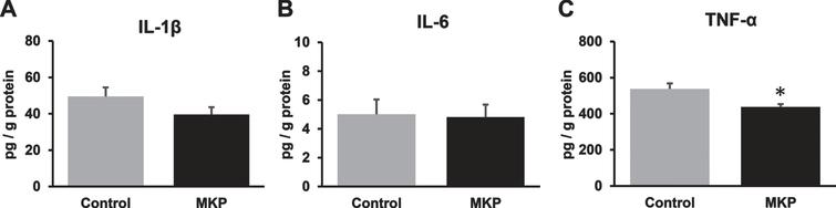 Changes in the levels of cytokines in the brain of APP/PS1 mice after Met-Lys-Pro (MKP) p.o. administration. One hemisphere of the forebrain was homogenized and sequentially extracted with TBS (TBS fraction) in APP/PS1 mice. Levels of IL-1β (A), IL-6 (B), and TNF-α (C) in the TBS fraction. MKP-treated APP/PS1 mice showed a significant decrease in TNF-α in the TBS fraction. Data represent mean±SEM. Data were analyzed using the Student’s t-test or Mann–Whitney U-test. *p < 0.05 compared to Control. (Control, n = 19; MKP, n = 19).