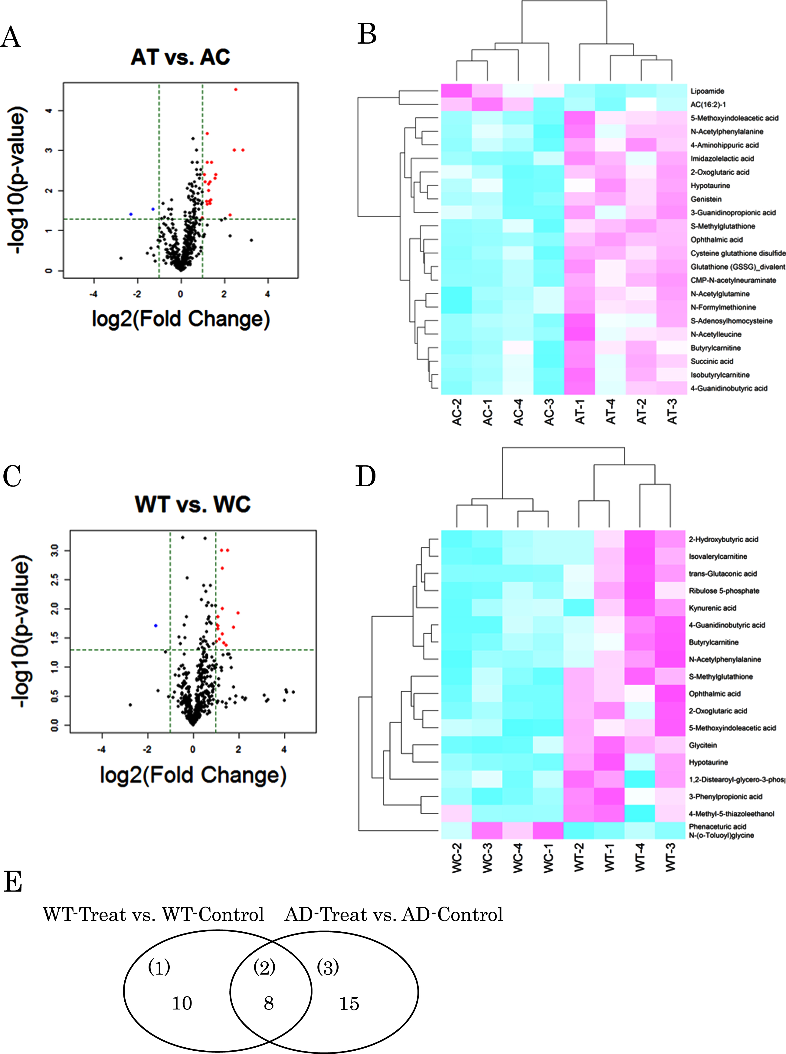 Metabolites with differences in each group comparison. Volcano plot and heat map of changing metabolites in AD-like model mice (A, B) and wild type mice (C, D) orally supplemented with B. breve MCC1274 (AT or WT) or saline (AC or WC). Venn diagram of variable metabolites in group comparison (E).