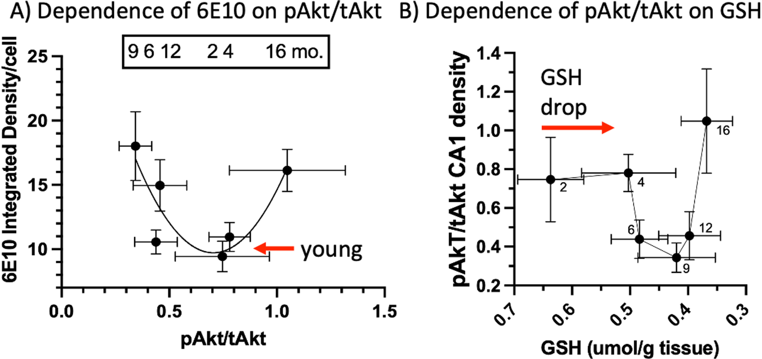 U-shaped correlations of pAkt/tAkt with 6E10 Aβ and GSH. A) Mid-range pAkt/tAkt correlates with low intracellular CA1 6E10 while declines or elevations in this ratio correlate with higher 6E10 levels. B) Before a change in pAkt/tAkt ratios, GSH drops 23% from 2 to 4 months followed by a decline in pAkt/tAkt, then a rise in ratio as GSH declines further (reverse scale).