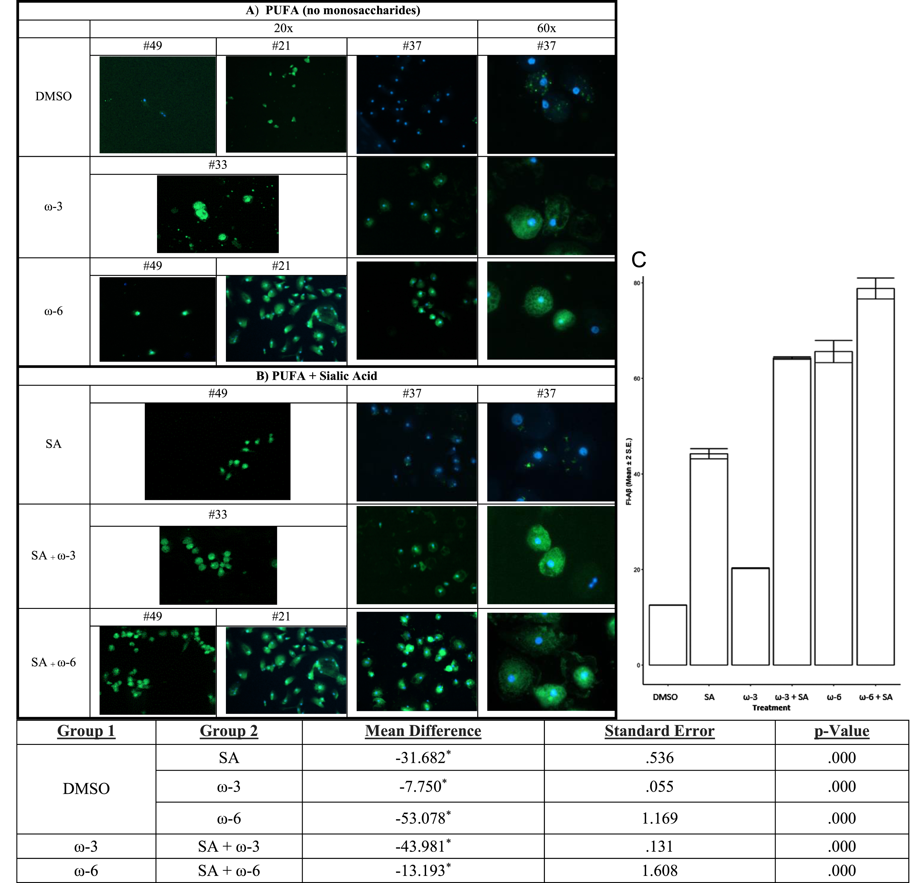 In vitro treatment of MCI patients’ macrophages by PUFA+/- sialic acid increase phagocytosis of soluble FITC-Aβ: Phagocytosis of Aβ is increased by: A) ω-3 (DHA and EPA) or ω-6 (EETs) and B) ω-3 (DHA and EPA) or ω-6 (EET) with sialic acid in the medium. C) The areas of fluorescence were scanned by Image-Pro and the data were analyzed for multiple comparisons of omega fatty acid versus DMSO (Mean and 2 SEmean of the areas of fluorescence (N) scanned by Image-Pro).