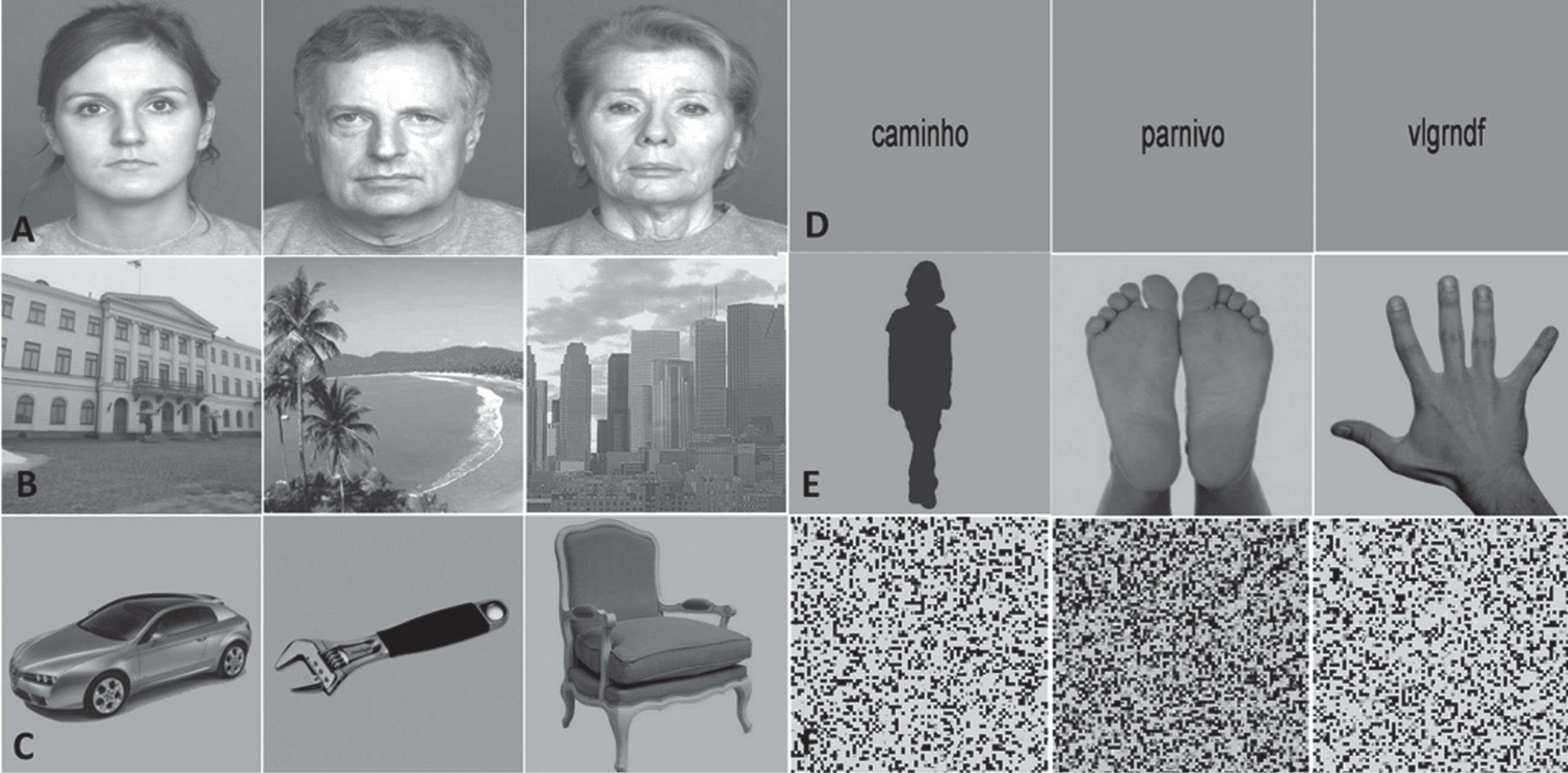Example of the images presented in the n-back functional task. Left to right: A) young, middle, and old faces; B) buildings, landscapes, and skylines; C) cars, tools, and chairs; D) words, pseudowords, and nonwords; E) body shape silhouettes and hands & feet; F) scrambled stimuli.