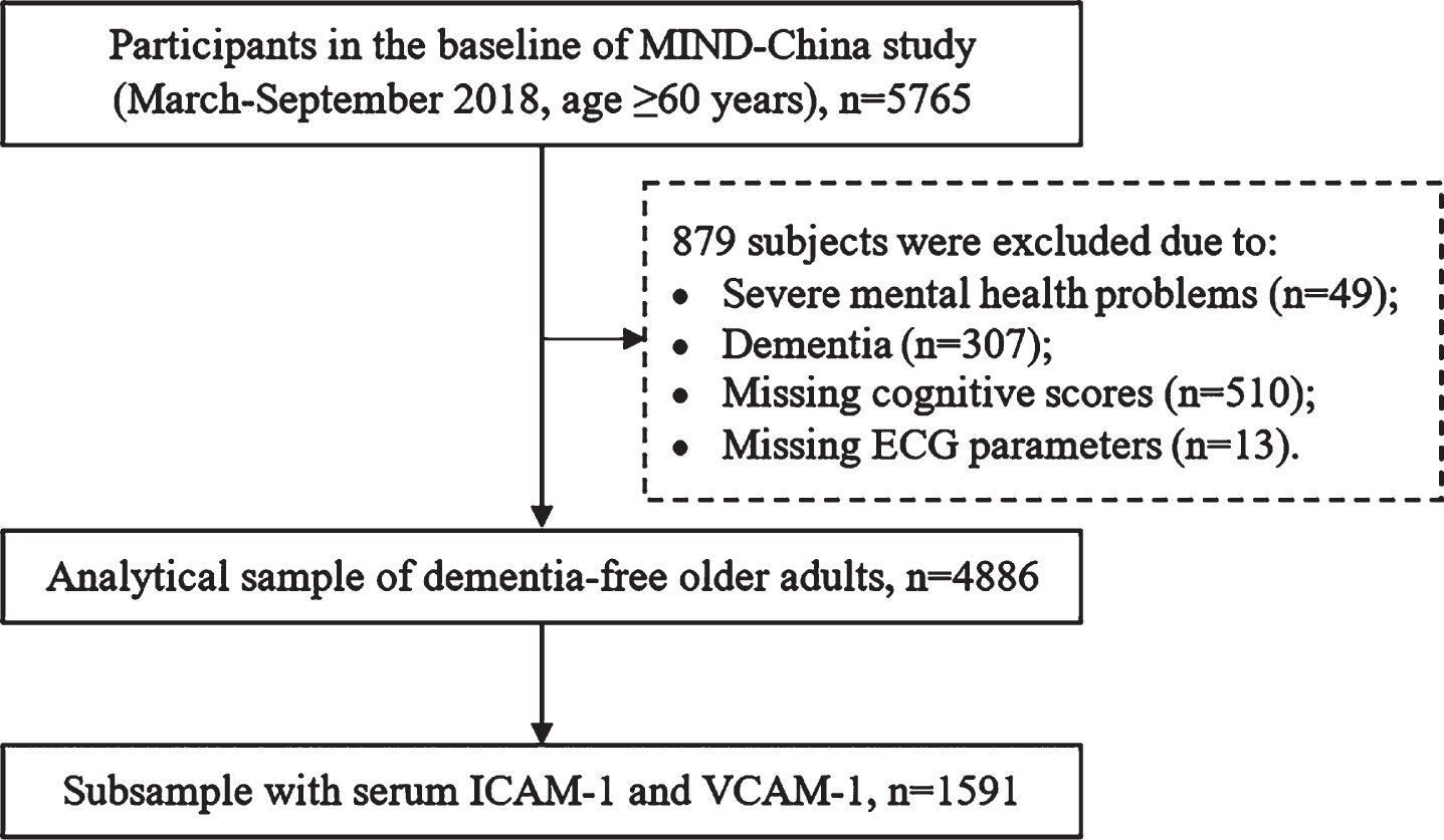Flowchart of the study participants. MIND-China, the Multimodal INtervention to delay Dementia and disability in the rural China; ECG, electrocardiogram; ICAM-1, intercellular adhesion molecule 1; VCAM-1, vascular cell adhesion molecule 1.
