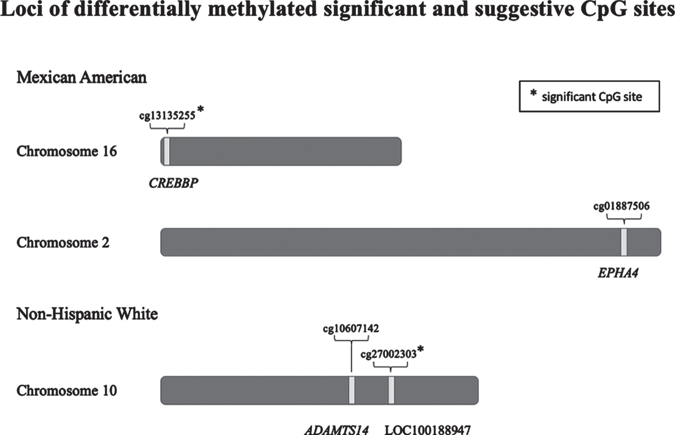 Loci of differentially methylated significant or suggestive CpG sites among Mexican American and non-Hispanic white TARCC participants (site of gene/loci derived from UCSC genome browser [47]).