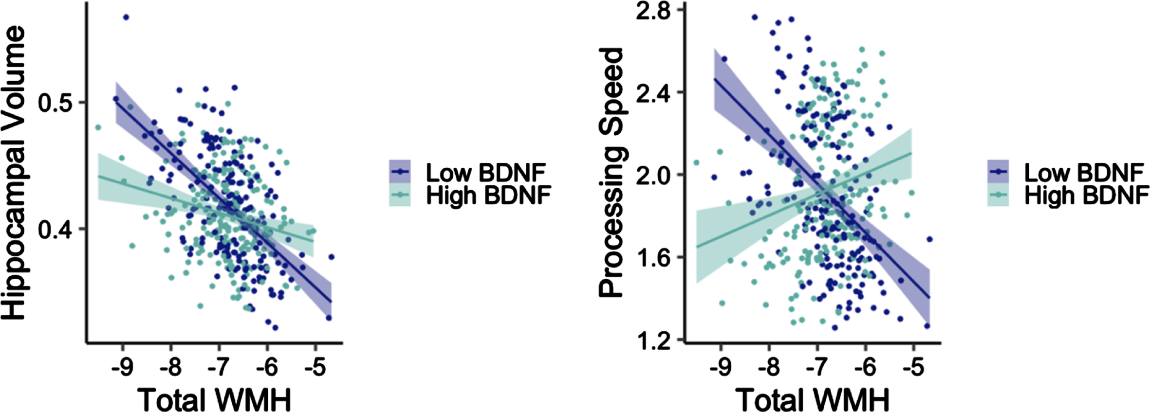 Interactions between WMH volume and BDNF on hippocampal volume (left) and processing speed (right) among older adults without diabetes. Y-axes reflect model-predicted hippocampal volume and processing speed, respectively. X-axes reflect total WMH. Hippocampal volume was normalized by intracranial volume.