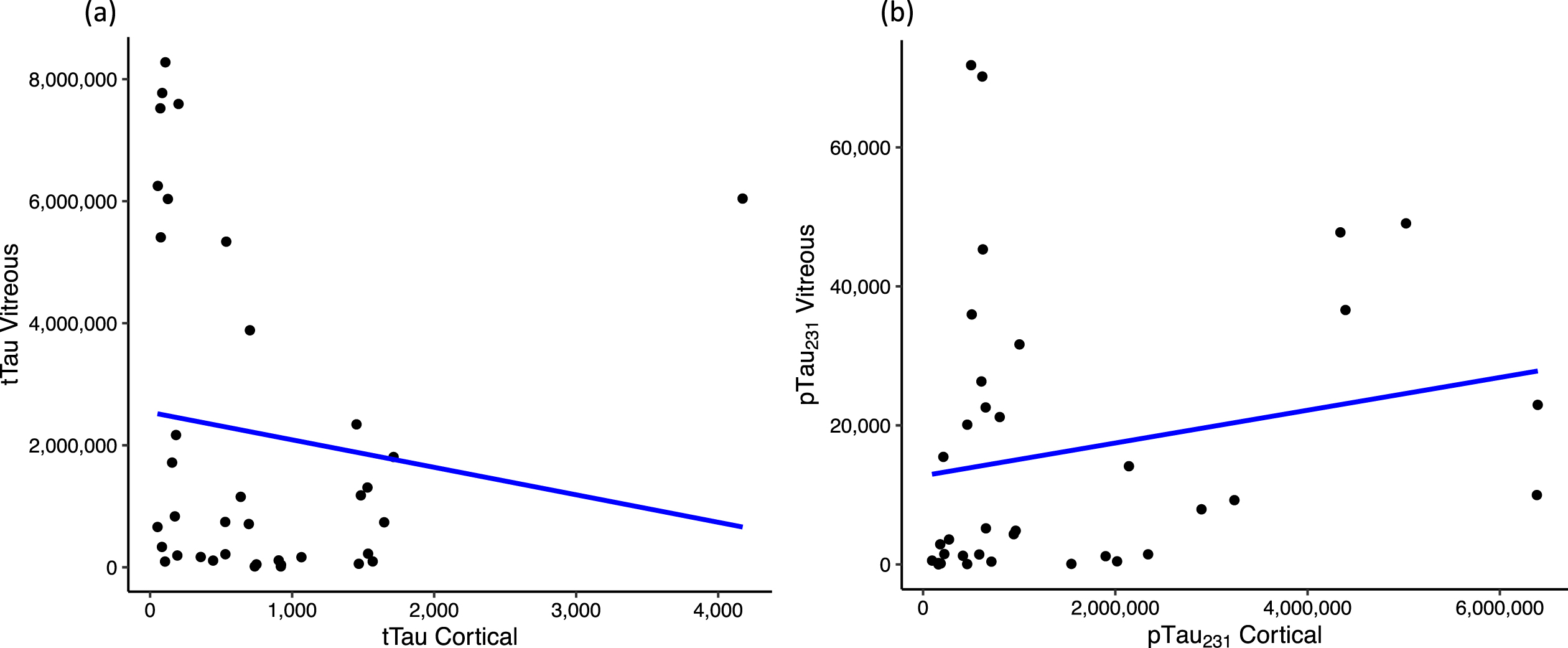 Scatter plot showing correlation between vitreous and cortical biomarker levels for (a) tTau and (b) pTau231; assessed using Spearman’s correlation test and only statistically significant values (p < 0.10) mentioned. tTau, total tau proteins; pTau231, phosphorylated tau 231.