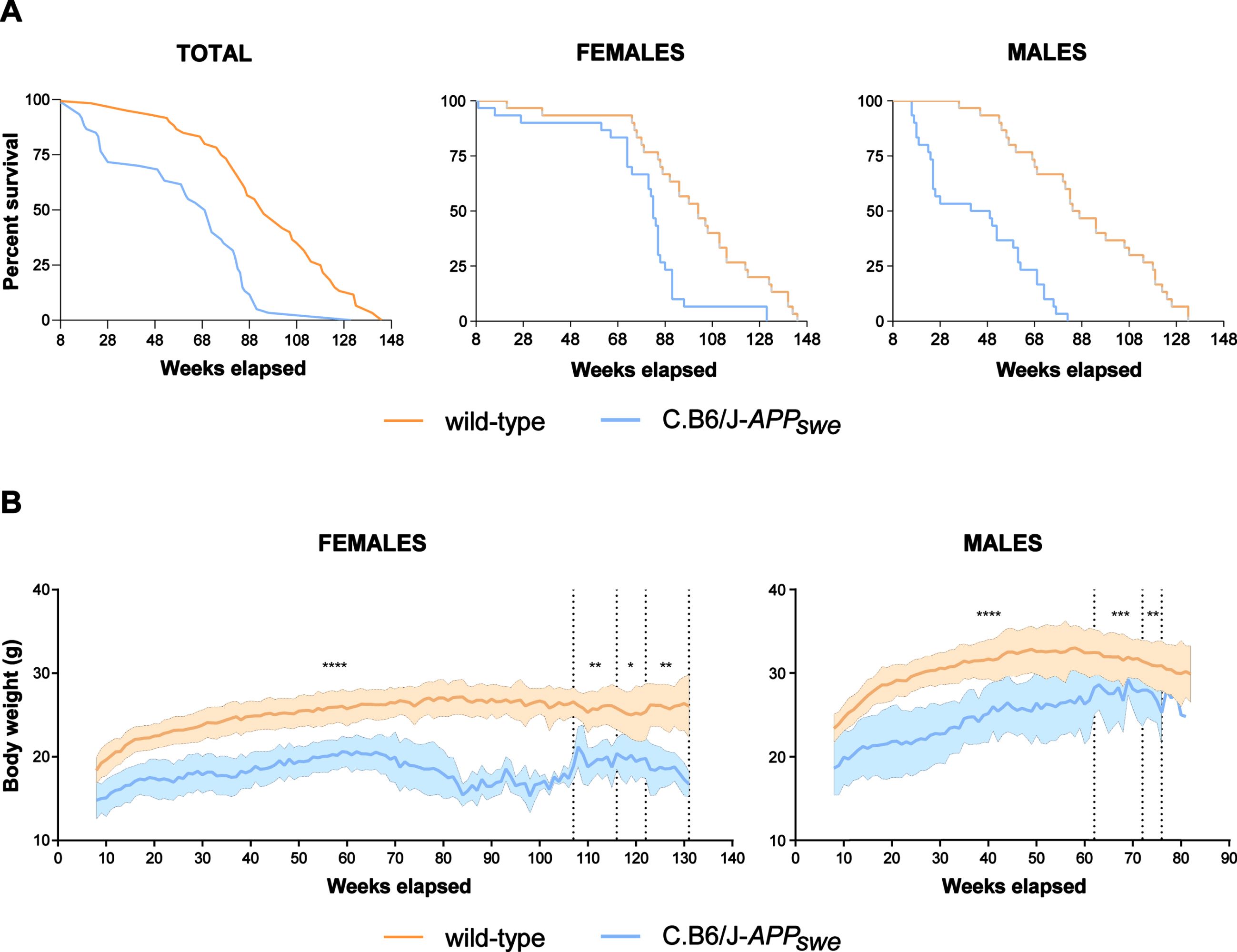 C.B6/J-APPswe mice live less, especially male animals, and have a lower body weight than wild-type mice. A) Congenic mice (30 males and 30 females) had a significantly shorter lifespan than wild-type mice (30 males and 30 females). Survival curve showed sex-related differences: in wild-type and congenic females it was similar until the 60th week, whereas in wild-type and congenic males it diverged from the 24th week. This implies that while no females remained without cage-mates at any experimental time point, a varying proportion of male animals remained alone, i.e., 0% at 3 months, 4% at 6 months, 25% at 9 months, 20% at 12 months and 100% at 16–18 months. B) The congenic mice (30 males and 30 females) had a significantly lower body weight than wild-type mice (30 males and 30 females); in females the difference was stable, whereas in males it tended to decrease over time. Student’s t test: *p < 0.05, **p < 0.01, ***p < 0.001, ****p < 0.0001.