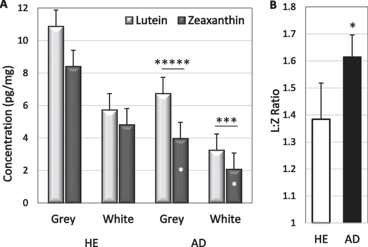 A) Lutein and zeaxanthin concentrations in grey and white matter of HE and AD brains. In AD brains, lutein exceeded zeaxanthin (* above bars); zeaxanthin in grey matter was lower in AD than in HE brains (*in bars). B) Mean L:Z ratio in AD and HE brains. *p = 0.02–0.05; ***p = 0.002; ****p = 0.00002