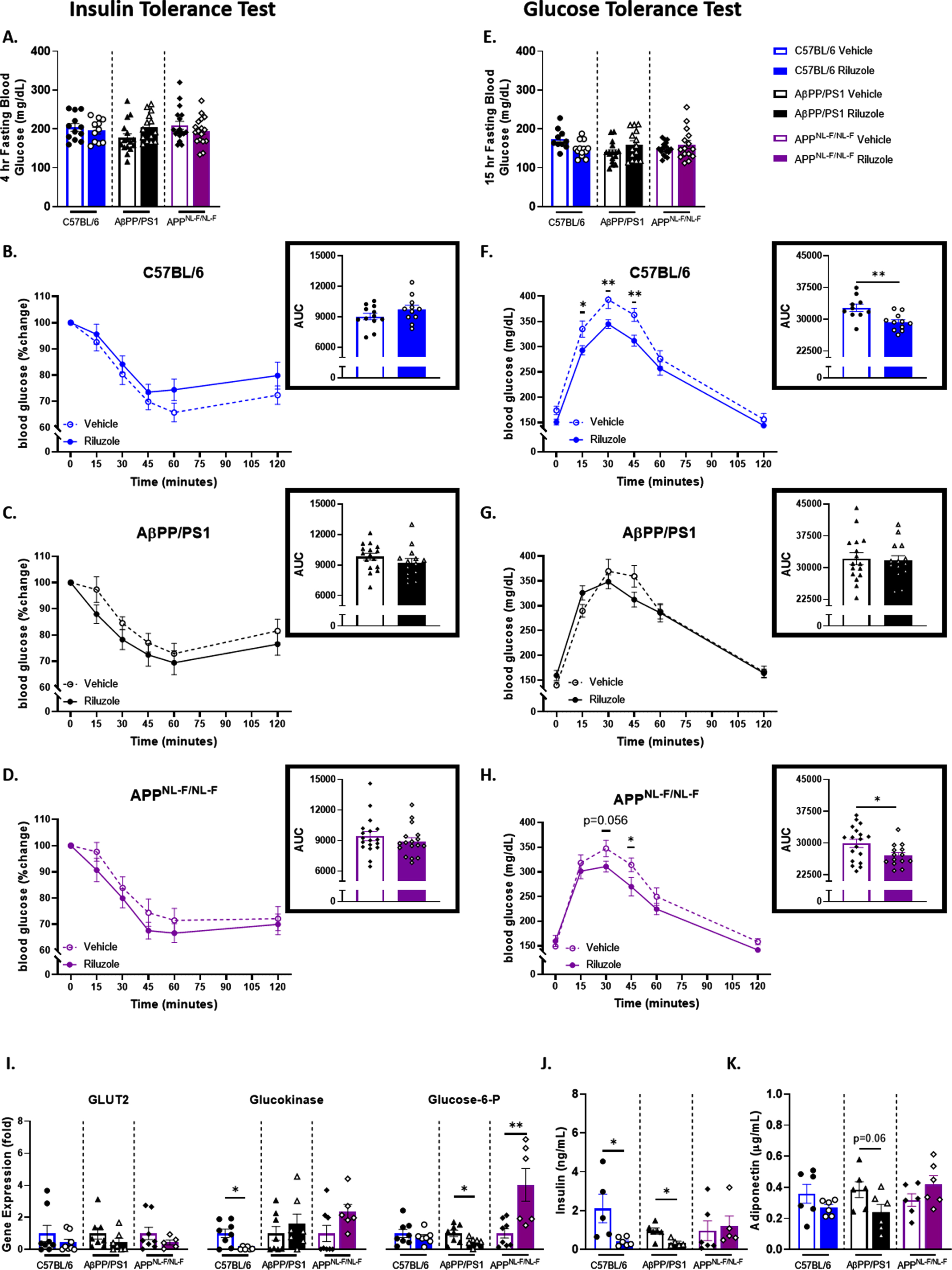 Riluzole improves peripheral glucose tolerance in male APPNL - F/NL - F mice and littermate C57BL/6 mice at 6 months of age. A) Blood glucose levels acquired from the tail vein after a 4 hour fast. B-D) Insulin tolerance was measured by percent change from baseline (T = 0). Insets depict percent change AUC for each genotype (C57BL/6, AβPP/PS1, and APPNL - F/NL - F) and treatment group. E) Blood glucose levels obtained from the tail vein after a 15-h fast. F-H) Blood glucose levels measured on the same time course as previously described following IP injection of glucose. Insets show AUC for each genotype and treatment group. I) RT-PCR analysis of liver tissue. J, K) ELISA quantification of serum insulin and adiponectin levels. ITT/GTT time course, within-genotype repeated measures two-way ANOVA, Fisher’s LSD; AUC (n = 10–18), RT-PCR (n = 6–8), and ELISA analysis (n = 5–6) within-genotype unpaired t-test, *p < 0.05, **p < 0.01.