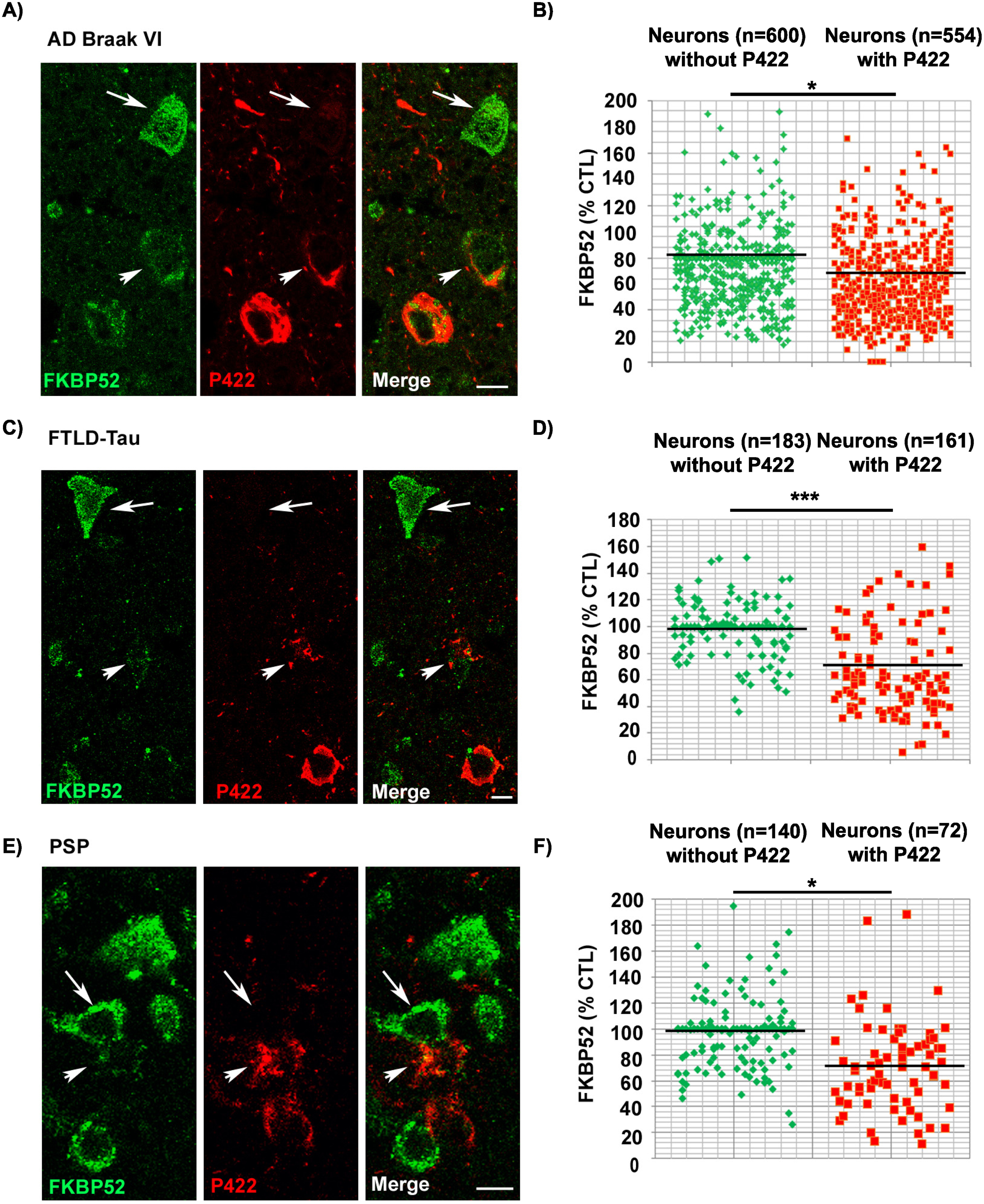 Image analysis results showing the decrease of FKBP52 expression in neurons with Tau-pS422 deposits in the frontal cortex of patients with different tauopathies. A, C, E) FKBP52 expression (green) is visibly decreased in Tau-pS422 (P422, red) positive neurons of AD Braak VI, familial FTLD-Tau and PSP patients respectively (arrowheads) compared with adjacent neurons devoid of evident Tau-pS422 deposits (arrows). B, D, F) Scatter diagrams of image analysis results showing a significant decrease of FKBP52 expression in Tau-pS422 positive neurons of AD Braak VI, familial FTLD-Tau, and PSP patients respectively. Statistical analysis was performed using Student’s t-test, *p < 0.05, ***p < 0.001,±SEM.