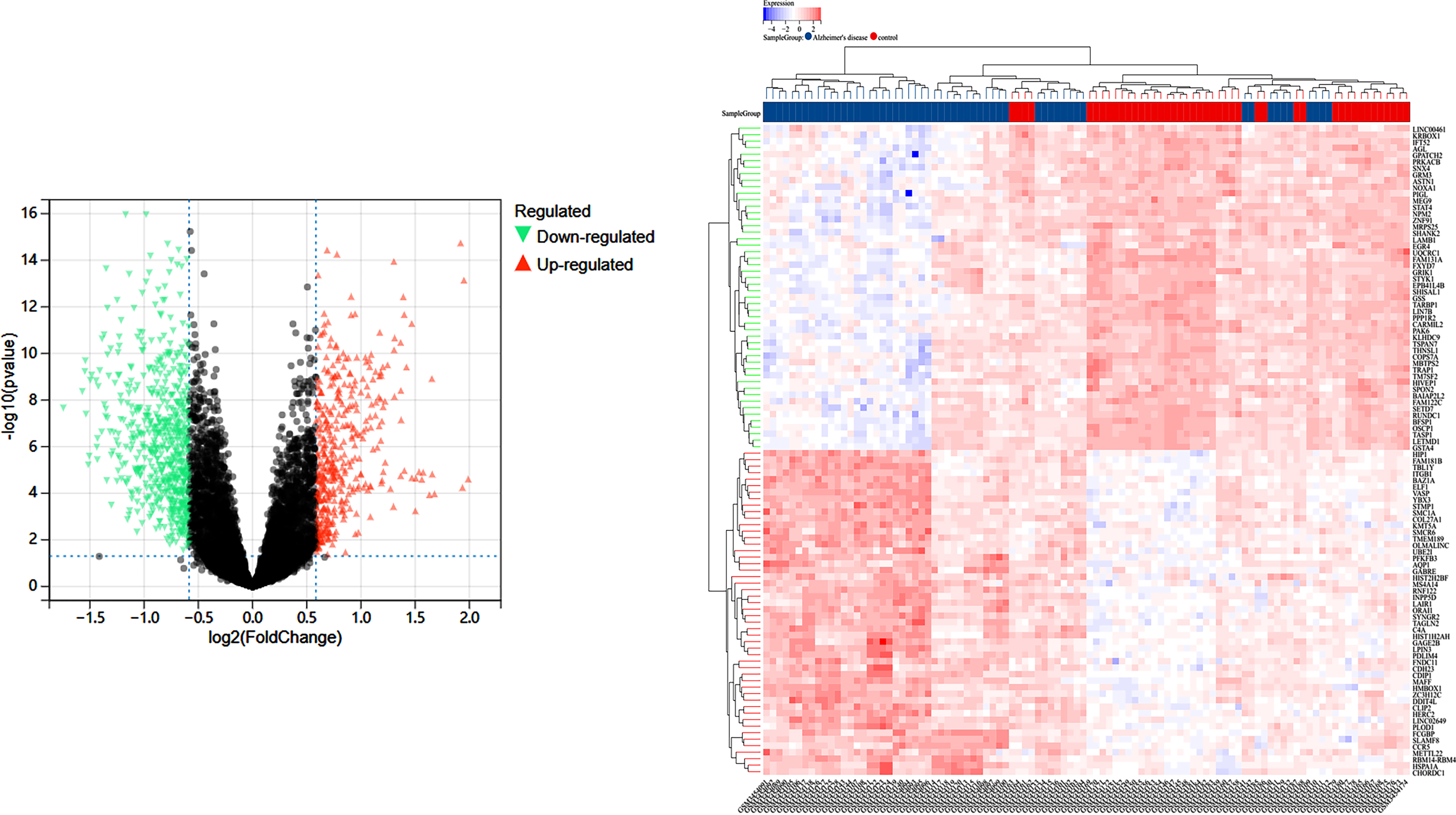 A) Differentially expressed genes between the blank and Alzheimer’s disease groups in the GSE122063 study in the GEO database; B) sample information.