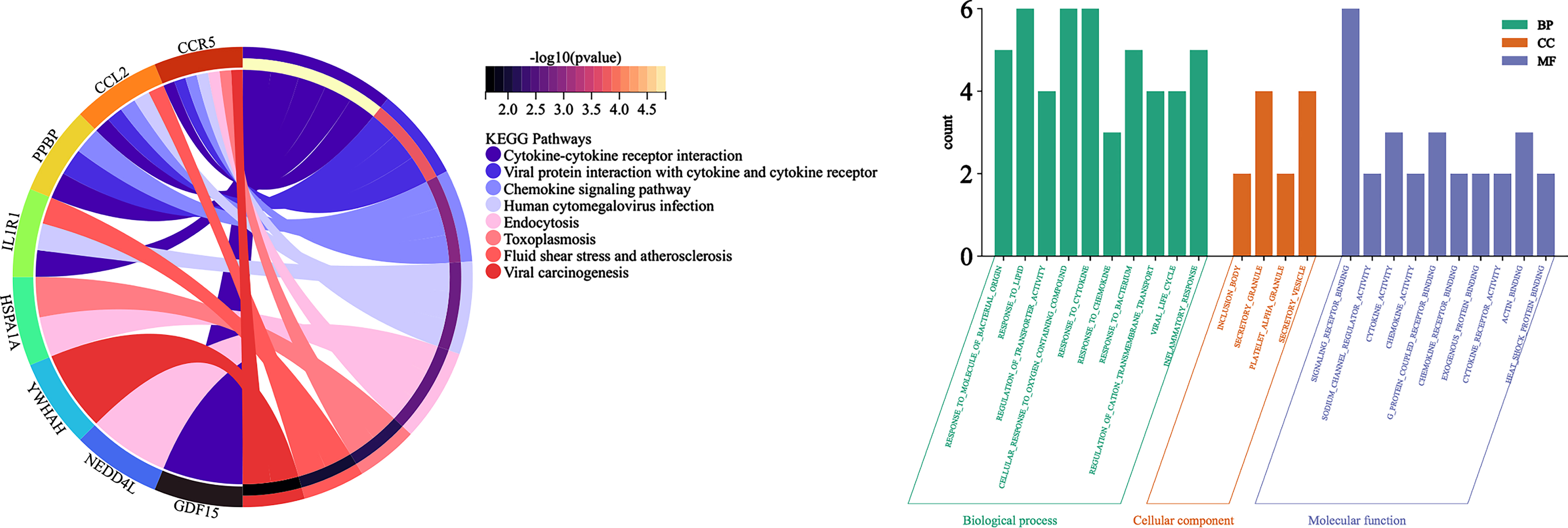 A) String Chart of KEGG signaling pathway; B) bar graph of Gene Ontology analysis diagram.