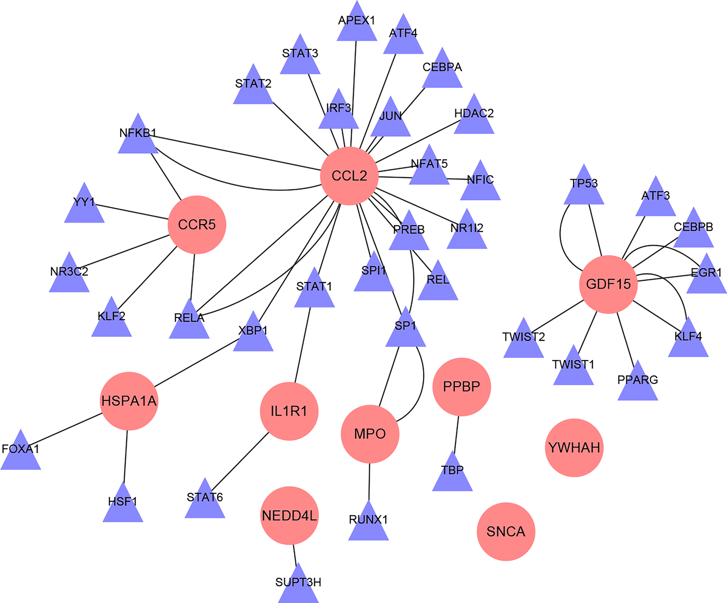 Interaction network diagram of hub gene-TFs (Pink circular nodes are hub genes; purple triangular nodes are transcription factors).