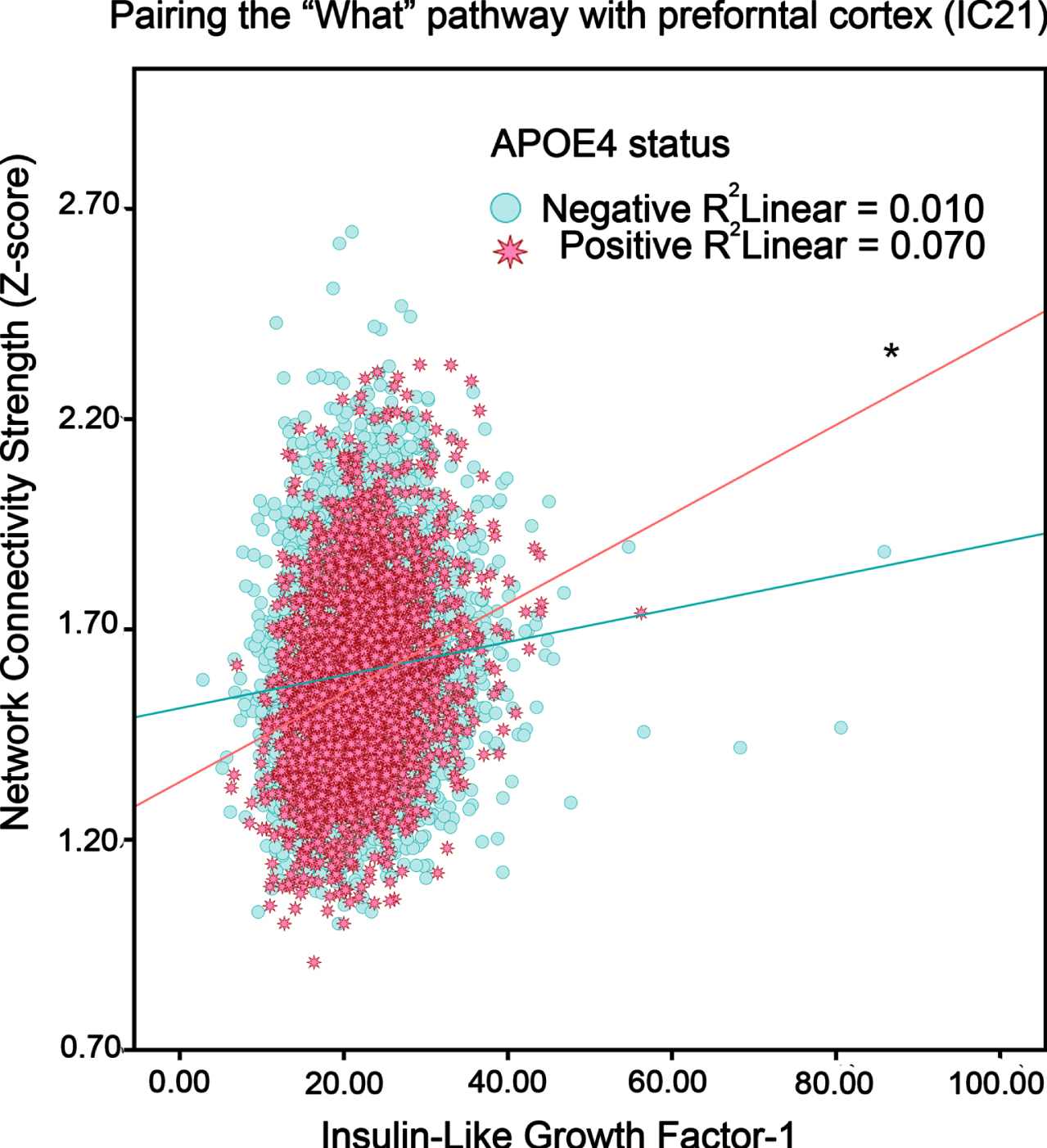 The association between IGF-1 levels and intrinsic functional connectivity (i.e., neural network activity) in adults without or with an APOE4 genotype (“positive”, “negative”). Blue circles and red stars respectively represent APOE4 negative and APOE4 positive participants. *p < 0.05.