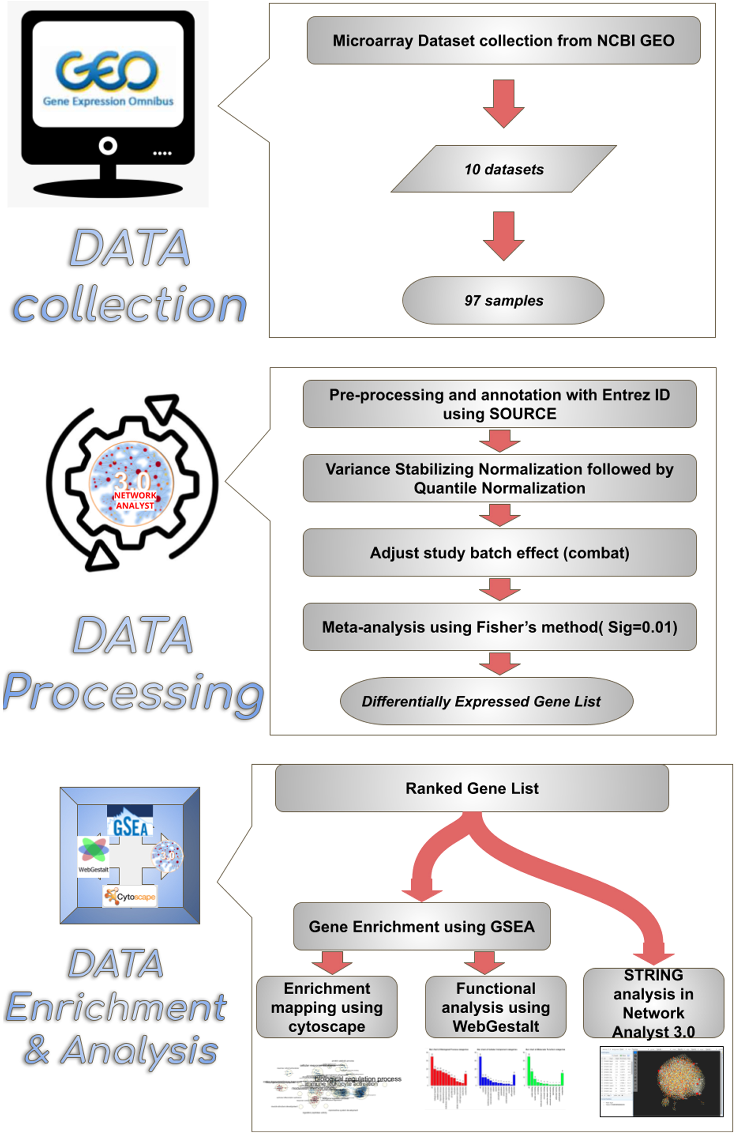 Overview of the enrichment analysis process. Synopsis of a meta-analysis conducted in this study. 10 microarray datasets comprising a total of 97 samples were chosen from the NCBI GEO webpage. Datasets were annotated with Entrez id to facilitate compatibility in network analyst 3.0 software. After validation, the data were uploaded to Network analyst software, where the samples were normalized and subjected to meta-analysis, thus obtaining the resulting ranked differentially expressed gene list comprising 939 genes. The differentially expressed genes between sham and MCAo stroke-affected animals were subjected to enrichment analysis through Cytoscape, WebGestalt and string analysis.