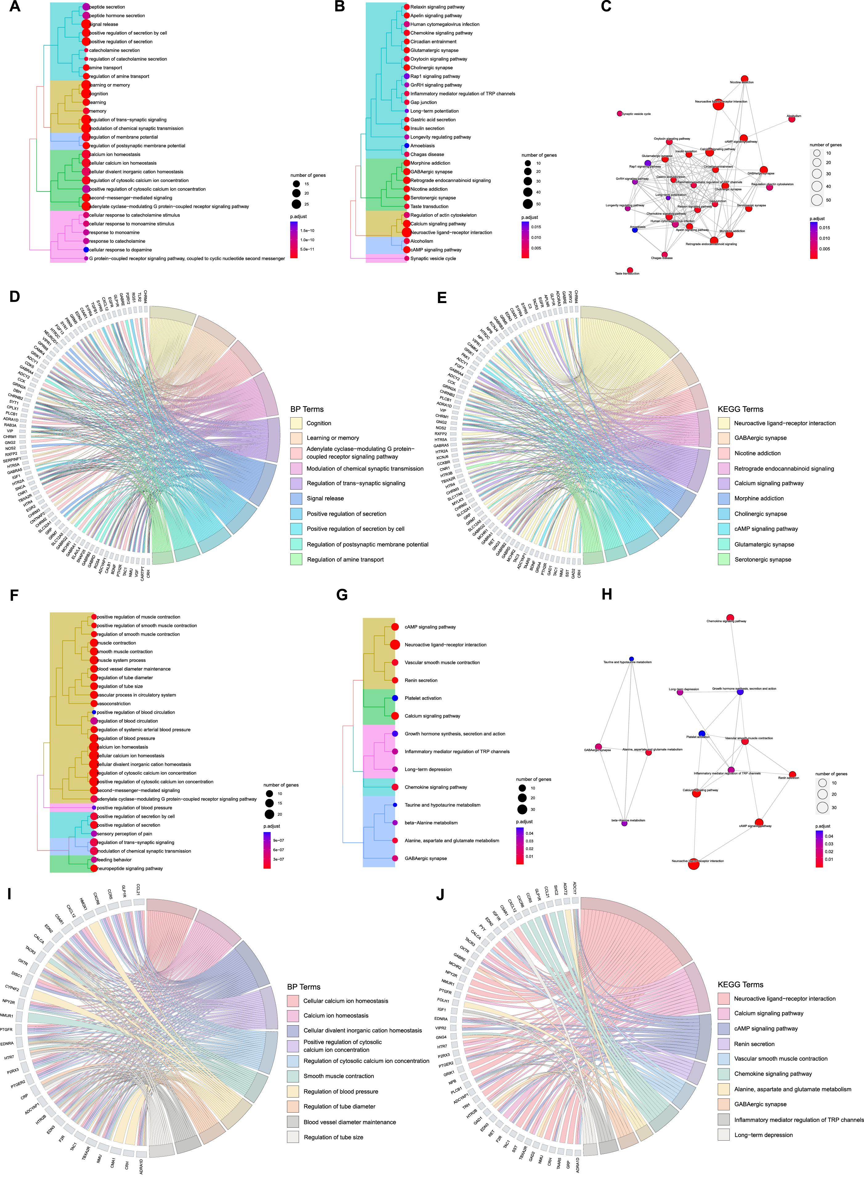 Functional enrichment analysis of acupuncture therapeutic targets associated with Alzheimer’s disease (AD) and vascular dementia (VaD). A) Tree plot of top 30 biological process (BP) terms of acupuncture therapy (AT) on AD (p-adjust< 0.05). B) Tree plot of top 30 Kyoto Encyclopedia of Genes and Genomes (KEGG) terms of AT on AD (p-adjust< 0.05). C) Enrichment map plot of top 30 KEGG terms of AT on AD (p-adjust< 0.05). D) Chord plot of top 10 BP terms of AT on AD (p-adjust< 0.05). E) Chord plot of top 10 KEGG terms of AT on AD (p-adjust < 0.05). F) Tree plot of top 30 BP terms of AT on VaD (p-adjust < 0.05). G) Tree plot of all KEGG terms of AT on VaD (p-adjust < 0.05). H) Enrichment map plot of all KEGG terms of AT on VaD (p-adjust < 0.05). I) Chord plot of top 10 BP terms of AT on VaD (p-adjust < 0.05). J) Chord plot of top 10 KEGG terms of AT on VaD (p-adjust < 0.05).