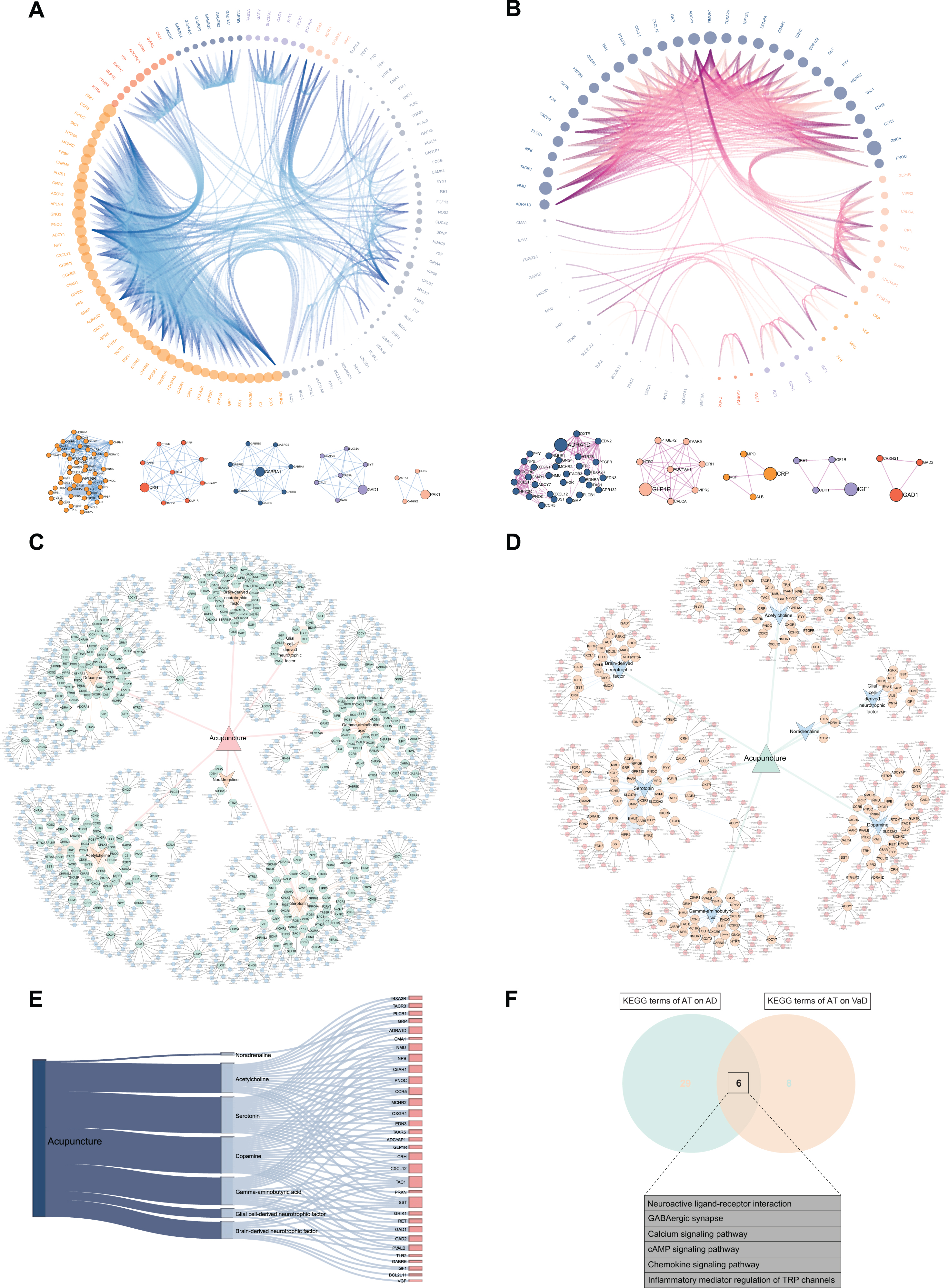 Construction of visual networks based on acupuncture therapeutic targets associated with Alzheimer’s disease (AD) and vascular dementia (VaD). A) PPI network and clustering sub-networks of acupuncture therapy (AT) on AD. In this network, the interaction of 118 targets in PPI network out of 132 acupuncture therapeutic targets on AD (ACAgenes) is displayed. According to the increasing degree value from 1.00 to 57.00, the size of nodes and the density of edges correspondingly increase, leading to gradual enhancement of the interaction intensity on targets, and 5 clustering networks driven by 5 hub genes are further identified. B) PPI network and clustering sub-networks of AT on VaD. In this network, the interaction of 66 targets in PPI network out of 76 acupuncture therapeutic targets on VaD (ACVgenes) is displayed. The degree values of targets increase from 1.00 to 38.00, and 5 clustering networks driven by 5 hub genes are further identified. C) Global network of AT on AD. In this network, the associations of the 7 acupuncture active components, 132 ACAgenes, and the Kyoto Encyclopedia of Genes and Genomes (KEGG) pathways related to each target are systematically displayed. D) Global network of AT on VaD. In this network, the associations of the 7 acupuncture active components, 76 ACVgenes, and the KEGG pathways related to each target are systematically displayed. E) Sankey diagram of the 32 mutual targets from ACAgenes and ACVgenes. F) Venn diagram depicts KEGG terms sharing of AT on AD and VaD.