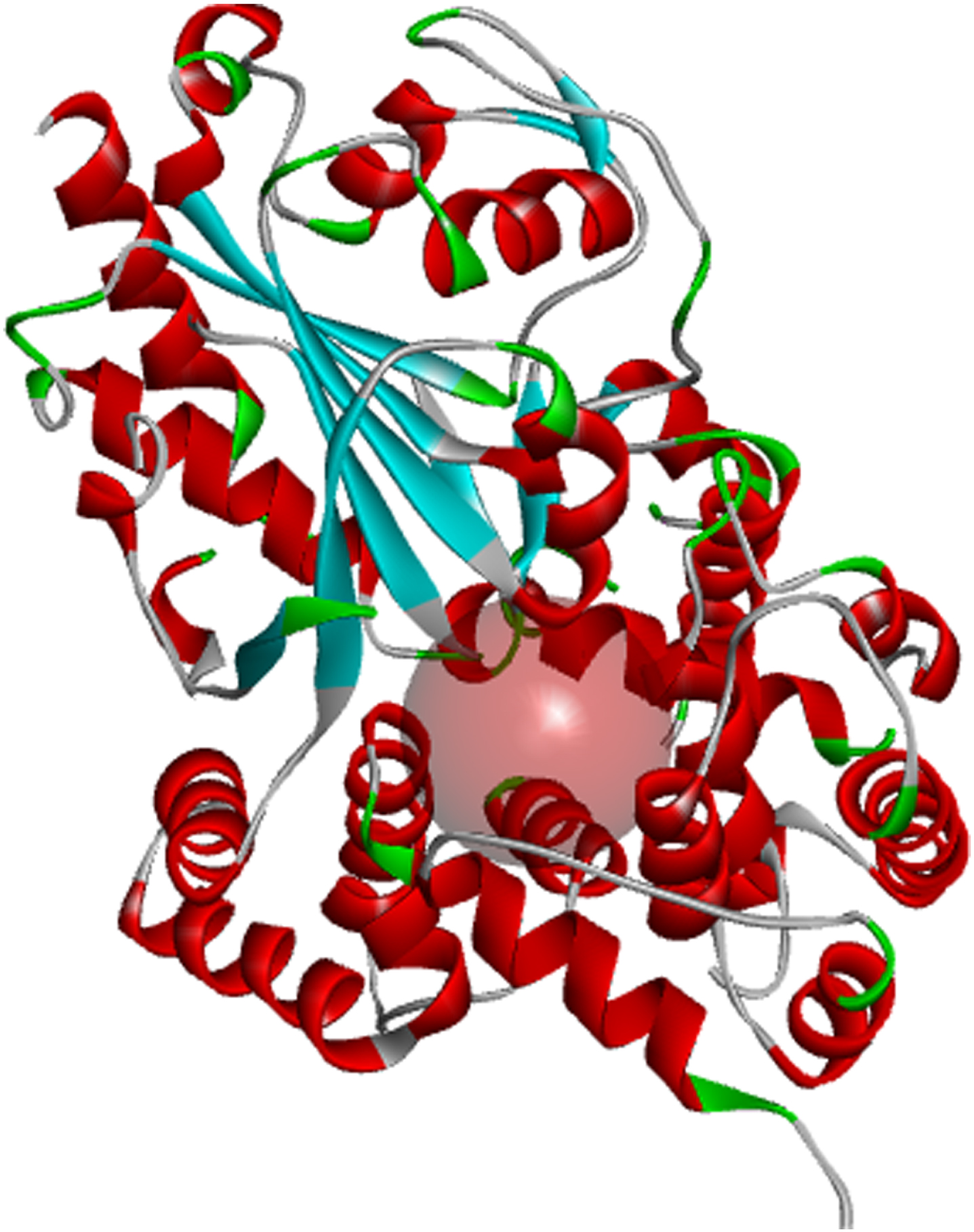 Binding pocket of the NLRP3 NACHT domain generated from its co-crystalized inhibitor.