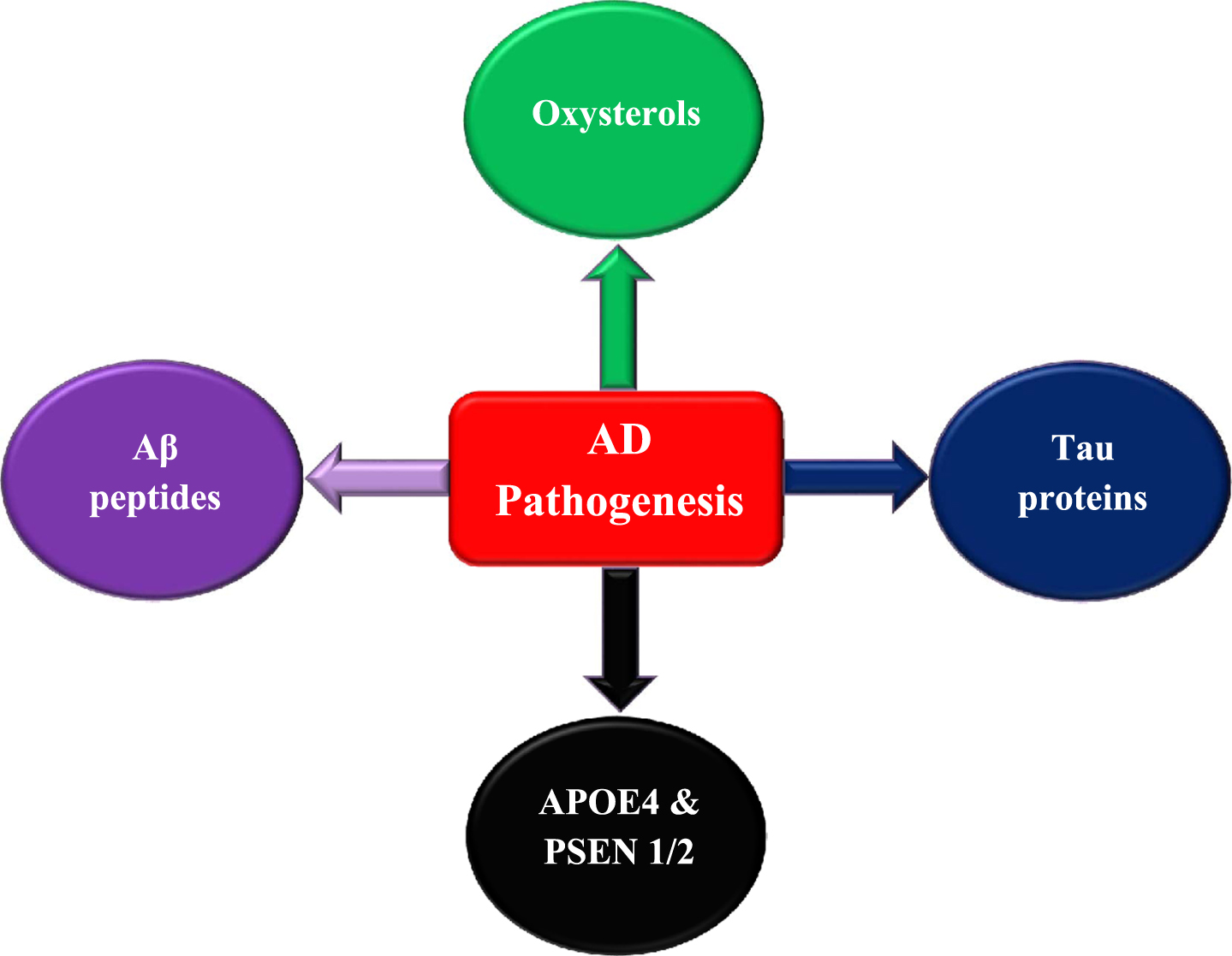 Factors contribute to AD pathogenesis and development.