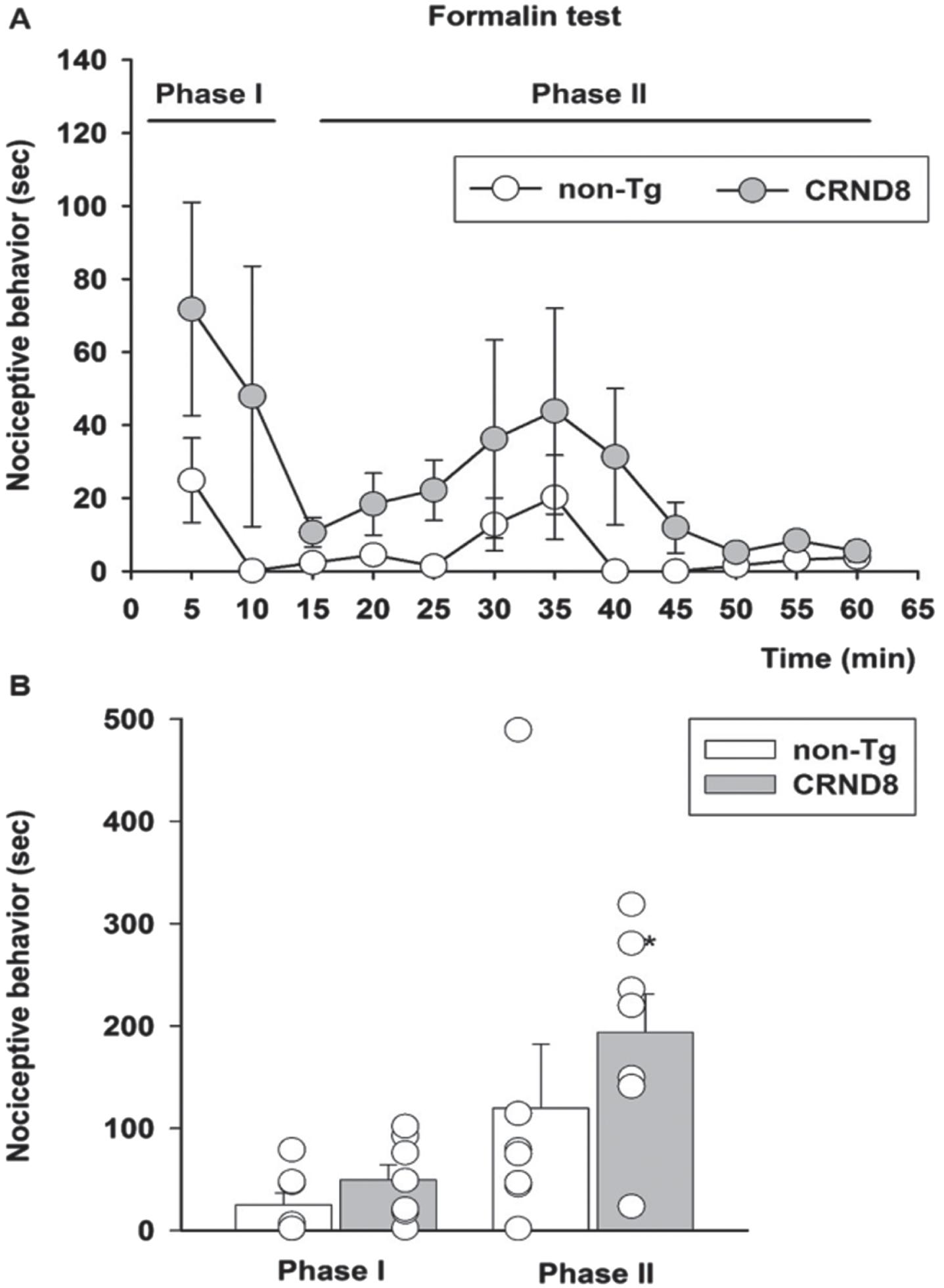 Enhanced pain behavior after formalin injection in CRND8 mice. In (A) the time course of formalin-induced pain behavior (as duration of licking and flinching responses) in CRND8 and non-Tg mice is presented. In (B), pain responses were classified as phase I (0–10 min) and phase II (15–60 min) and were represented as mean±SEM in bar graphs showing individual values (n = 7 per genotype). A two-way repeated measures ANOVA with Bonferroni post-test for all pairwise multiple comparisons was carried out to analyze the effects of genotype and phase on pain responses. There was a statistically significant difference in pain response between CRND8 and non-Tg mice within phase II (p = 0.015).