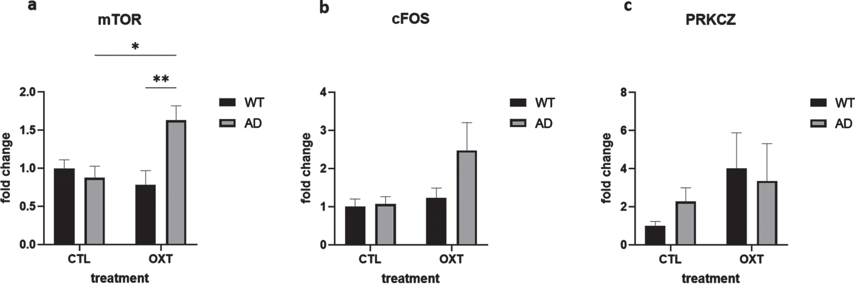 Intranasal administration of oxytocin in an AD model increases expression of mTOR. The expression of several mediators in the oxytocin-OXTR pathway was measured in hippocampal tissue isolated from oxytocin- or vehicle-treated AD and wild type mice after 42 days of treatment. Expression was normalized using GAPDH and HPRT1 and converted to fold change values (as compared to WT control animals). Expression of mTOR was upregulated in the AD group that received oxytocin (n = 8) compared to the AD control group (a) (n = 8) (two-way ANOVA with Tukey post-hoc analysis). Expression of cFOS and PRKCZ was not significantly different in any condition (b, c). Bars represent mean±SEM. mTOR, mammalian target of rapamycin; PKMζ, protein kinase M ζ; AD, Alzheimer’s disease; OXTR, oxytocin receptor; GAPDH, glyceraldehyde-3-phosphate dehydrogenase. **p < 0.005, *p < 0.05.