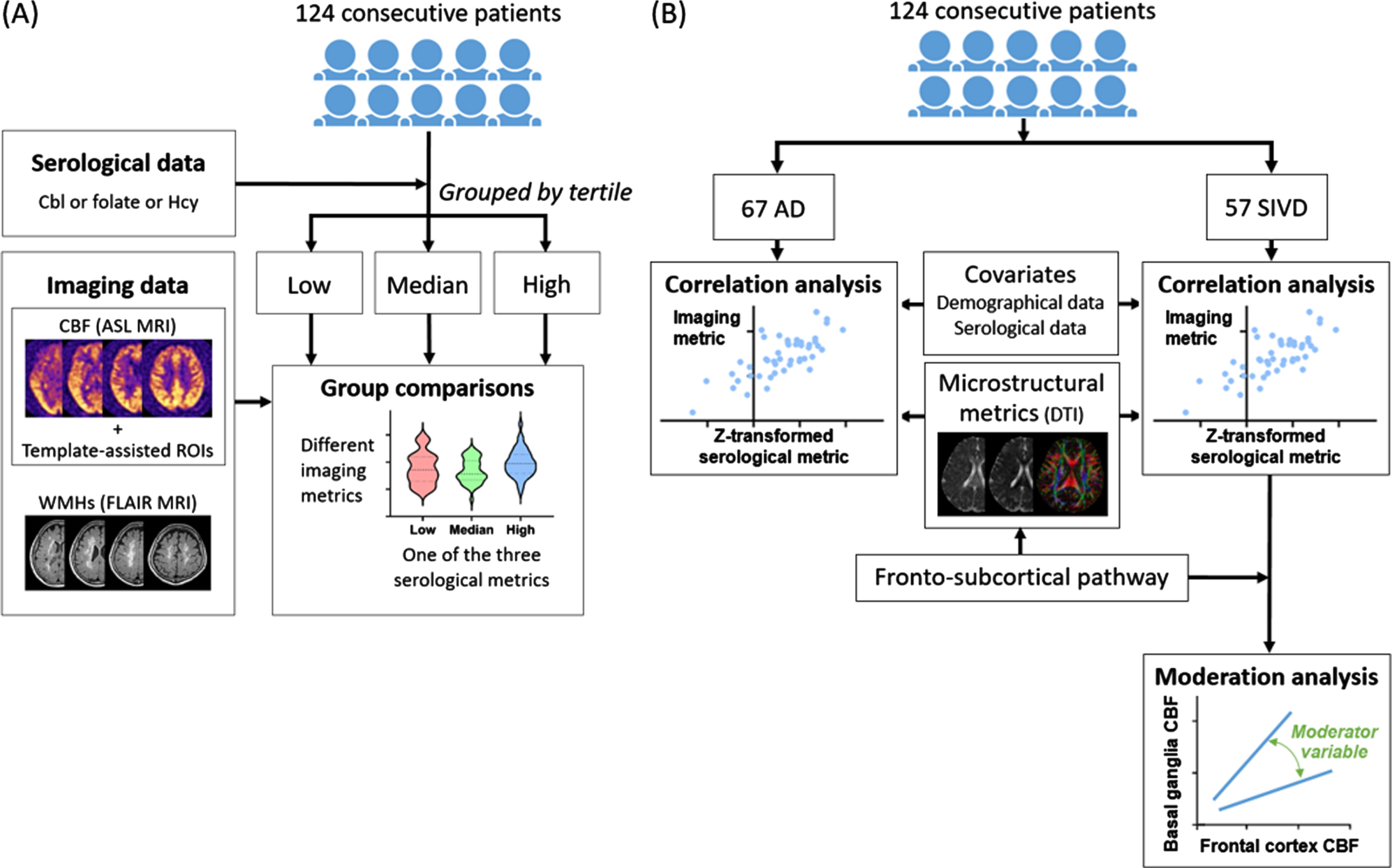 Study framework. A) The first part of study was to explore neurovascular correlates of cobalamin (Cbl), folate, and homocysteine (Hcy) in dementia. B) The second part of study was to investigate the differential neurovascular effects of Cbl/folate/Hcy in Alzheimer’s disease (AD) and subcortical ischemic vascular disease (SIVD). ASL, arterial spin labeling; DTI, diffusion tensor imaging; FLAIR, fluid-attenuated inversion recovery; ROI, region of interest.