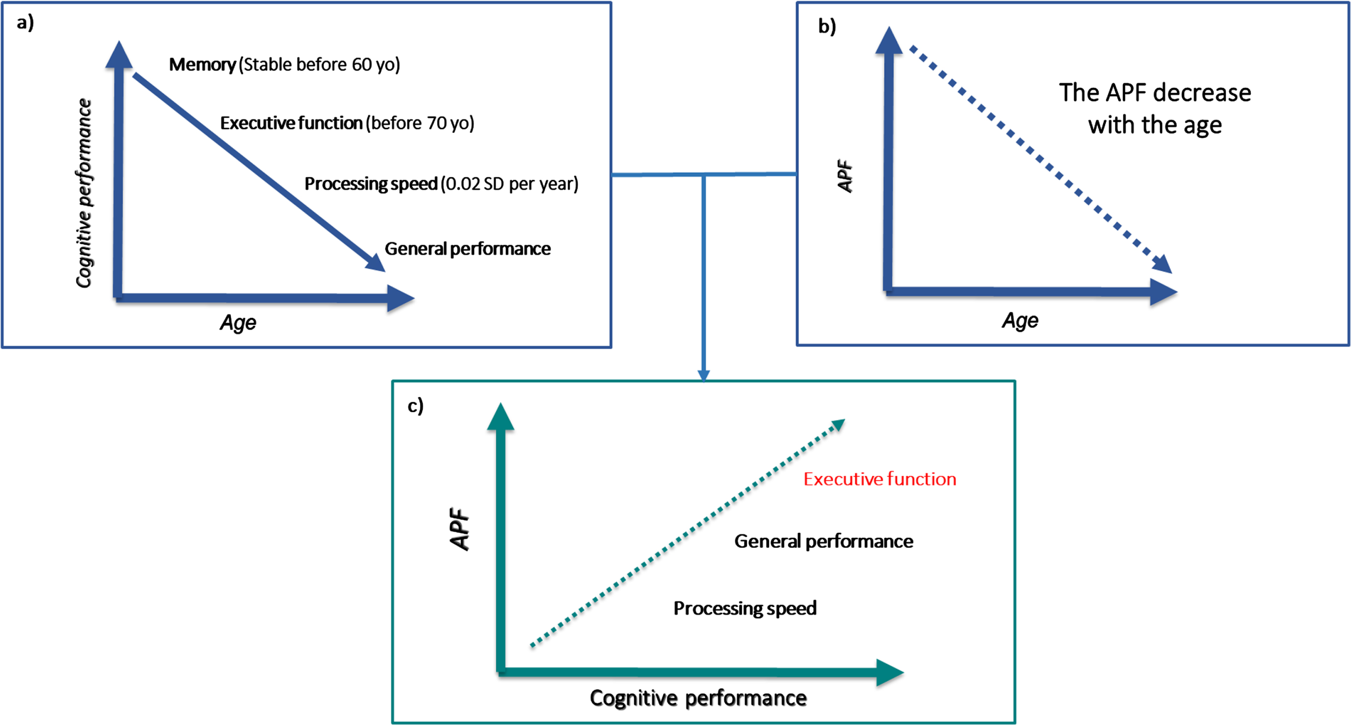 Cognitive performance associated with alpha peak frequency (APF) in subjects without cognitive impairment. a) Various studies show a decrease in cognitive performance with increasing aging [32–34]; b) Interestingly, this pattern was also documented in the relationship between APF and age. c) Our review suggests that a higher APF is linked with a higher score in intelligence, executive function, and general cognitive performance and could be considered an optimal, and easy-to-assess, electrophysiological marker of cognitive health in older adults.
