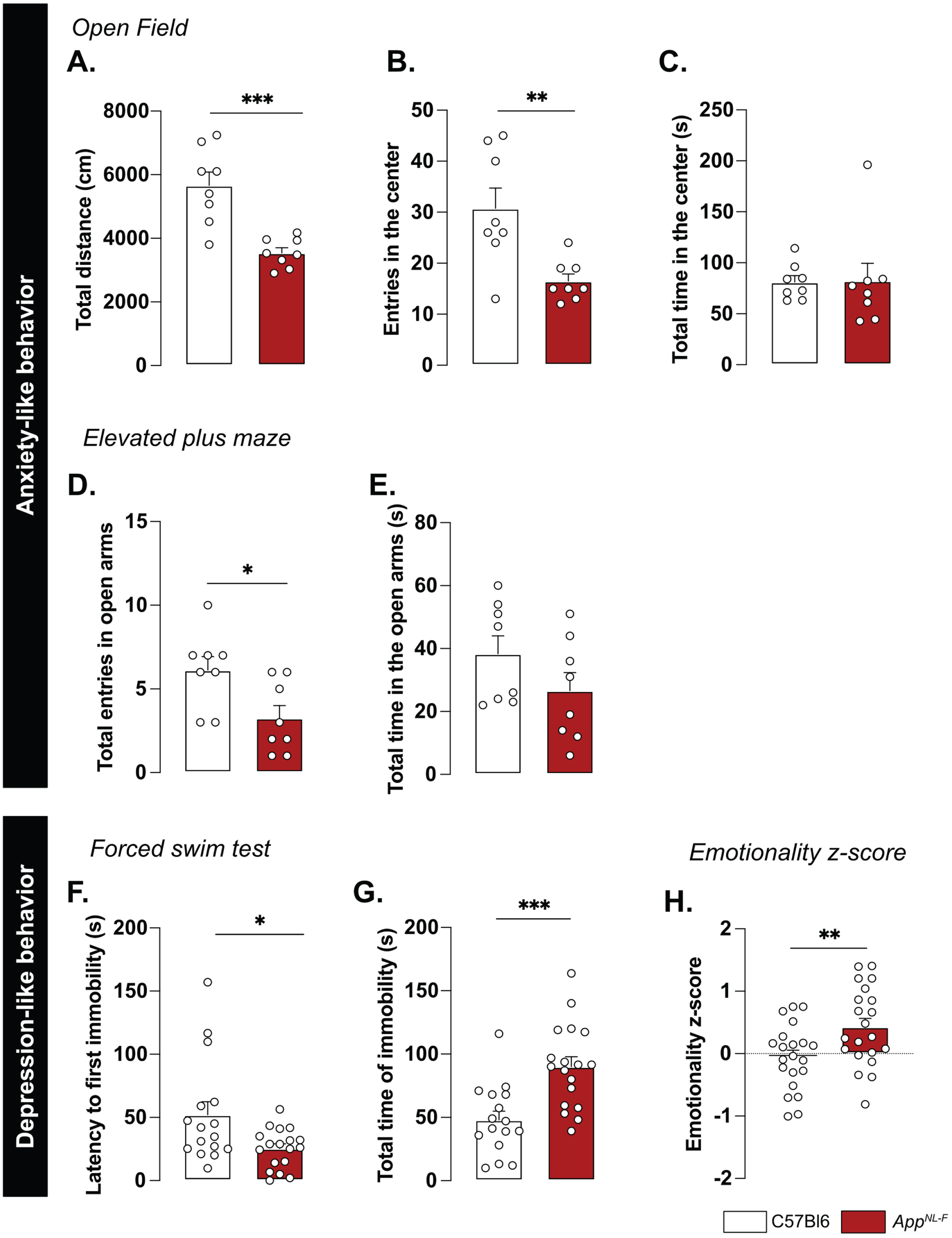 AppNL-F mice display mild depressive-like behavior. In the open field test, the total travelled distance (A) is reduced in AppNL-F compared to C57Bl6, as well as the number of entries in the central area (B). The total time in the open area is not different between the two strains (C). Mann-Whitney test: **p < 0.01, ***p < 0.001 statistically different as shown. C57Bl6: n = 8, AppNL-F: n = 8. In the elevated plus maze, the number of entries in the open arms is significantly lower in AppNL-F compared to C57Bl6 (D) whereas the total time spent in the open arms (E) remains unchanged between genotypes. Student t-test: *p < 0.05 statistically different as shown. C57Bl6: n = 8, AppNL-F: n = 8. In the forced swim test, the latency to first immobility is lower in AppNL-F mice compared to C57Bl6 (F), while the total time of immobility is higher (G). Mann-Whitney and student t-test: *p < 0.05, ***p < 0.001 statistically different as shown. C57Bl6: n = 16, AppNL-F: n = 18. The emotionality z-score is an integrative score allowing comparison of multiple factors, calculated on different scales and includes parameters from the different behavioral tests described above (see supplementary information). The emotionality z-score is significantly higher in AppNL-F mice compared to C57BL6 (H). Student t-test: **p < 0.01 statistically significant as shown. C57Bl6: n = 21, AppNL-F: n = 21.