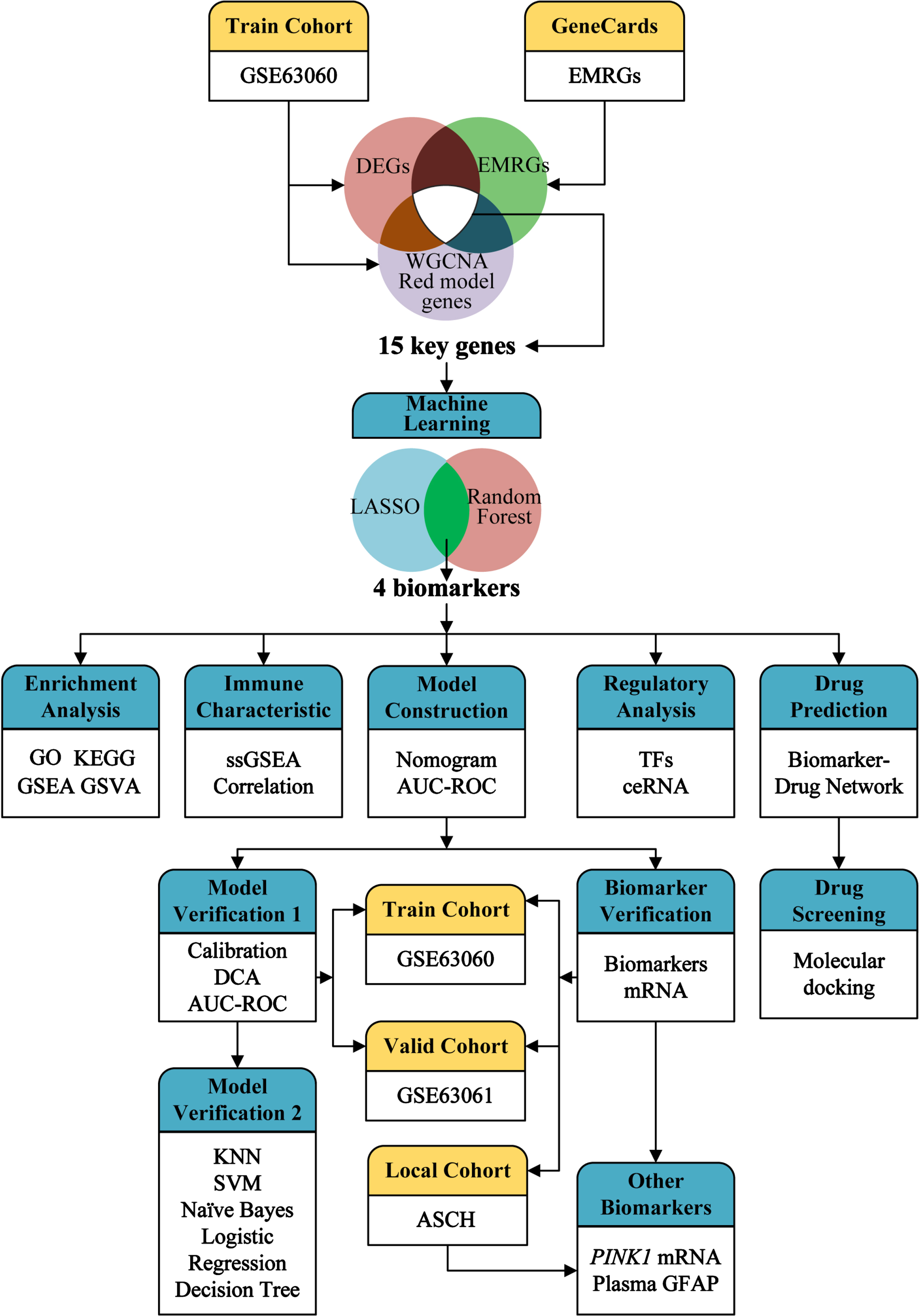 Overview of the study design and framework analysis.