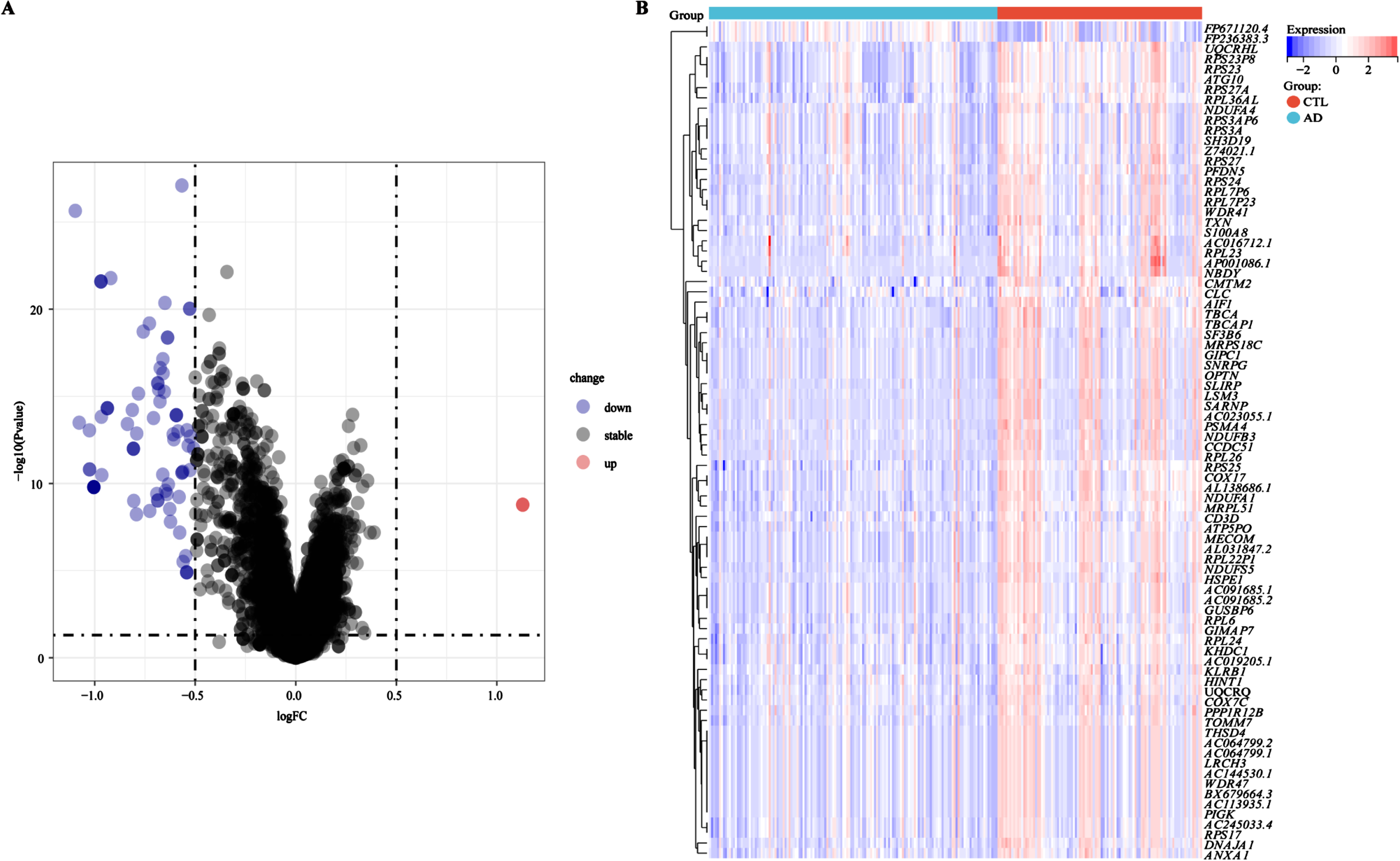 Identification of DEGs between AD and control samples. A) Volcanic map of DEGs determined in the training cohort GSE63060. B) Heatmap of DEGs in the training cohort GSE63060. Red for upregulation, blue for downregulation.