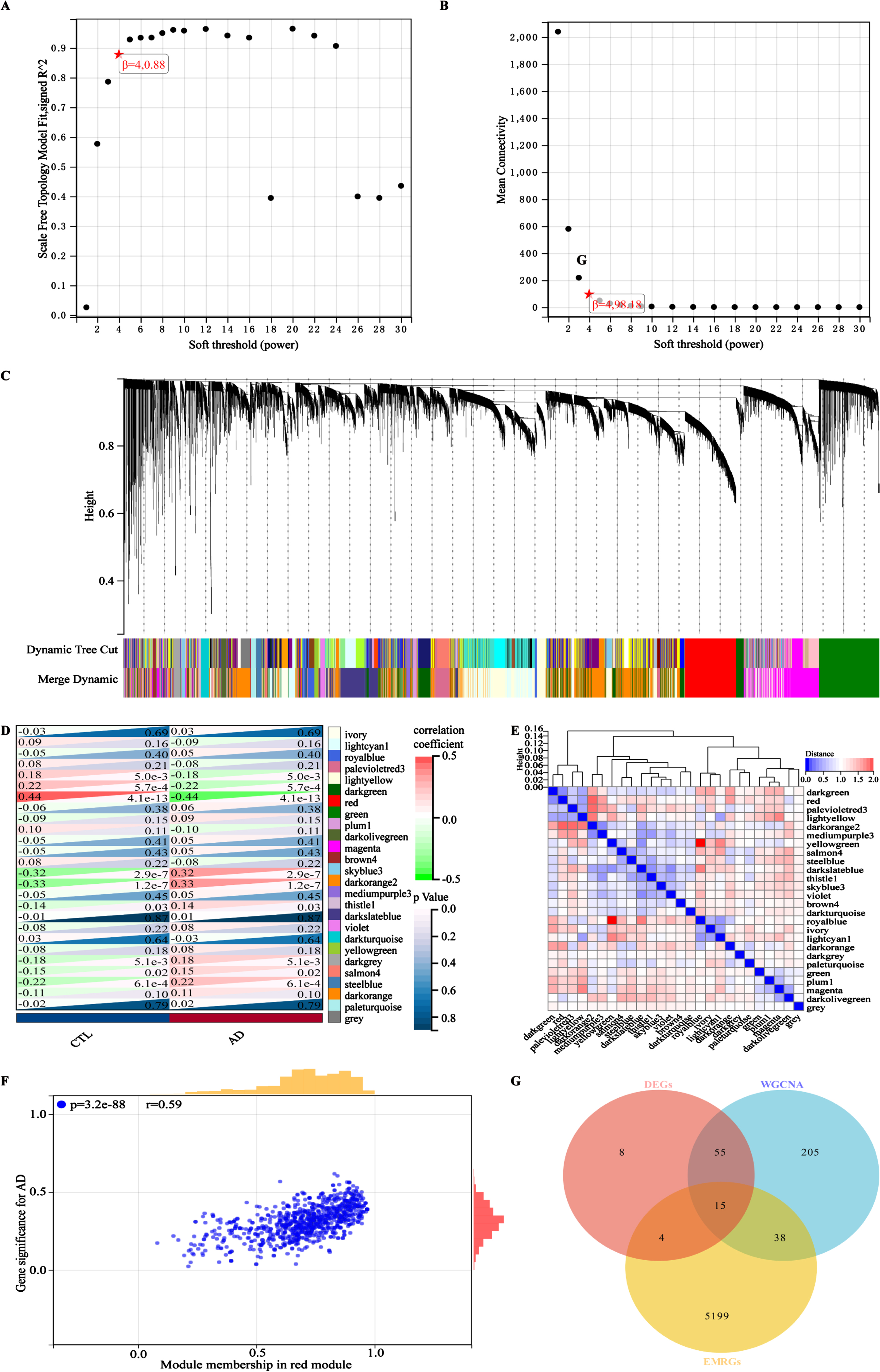 Identifying and screening key genes using the WGCNA algorithm. A) The scale-free fitting index of the soft threshold in the weighted gene co-expression network. B) The mean connectivity of soft threshold power in the weighted gene co-expression network. C) Tree diagram of gene-model clustering with all samples in the training cohort GSE63060. D) Correlation heatmap between different modules in the control and AD. Red: positive correlation; light green: negative correlation. E) Clustered heatmap of different color modules. Red: further distance; blue: nearer distance. F) Scatter plot of characteristic genes in the red module. G) Identification of key genes in a Venn diagram, overlapping with DEGs, EMRGs, and genes in red model. Correlations were carried out with Spearman’s correlation method.