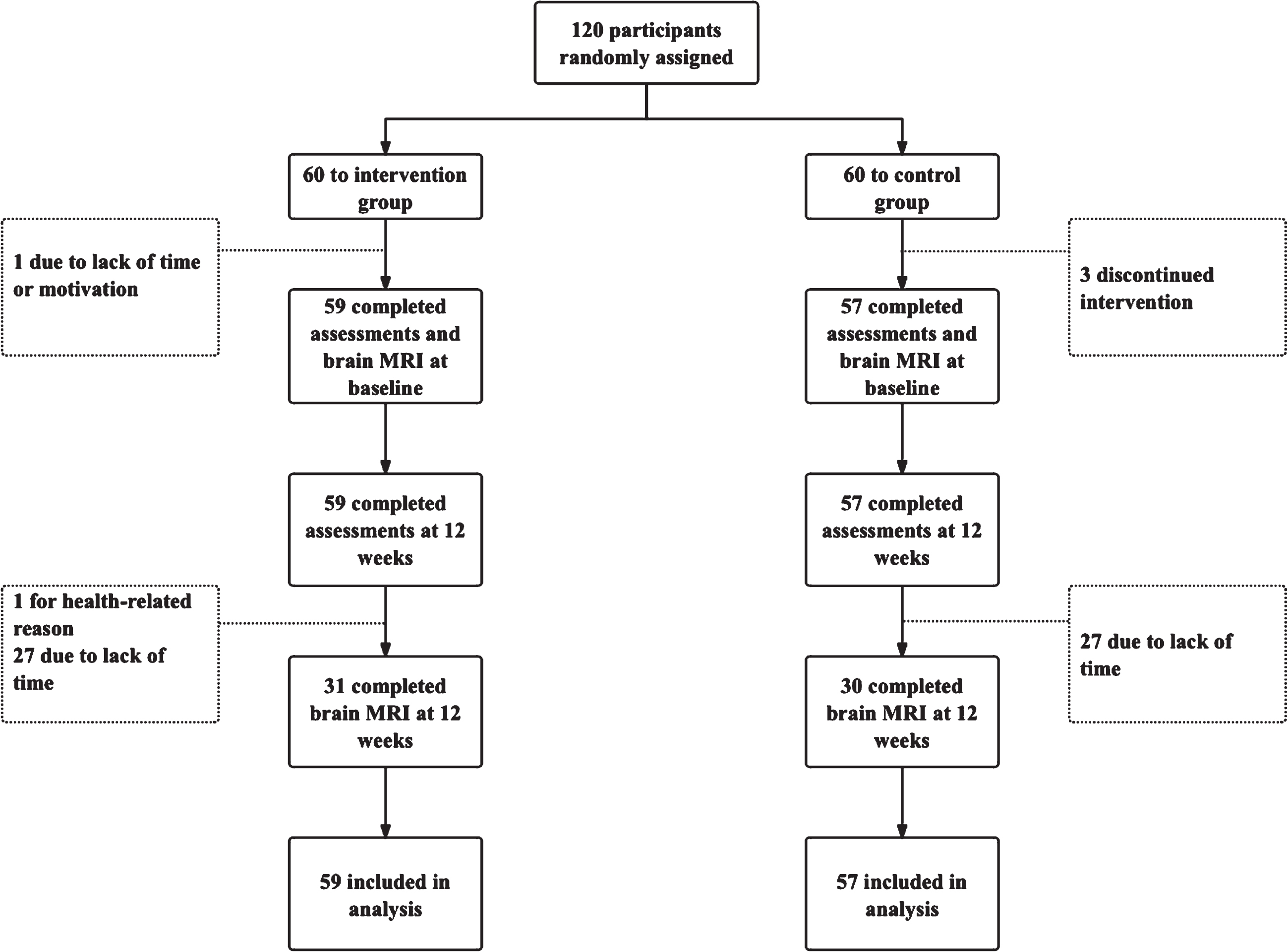 Flow of participants through the study.