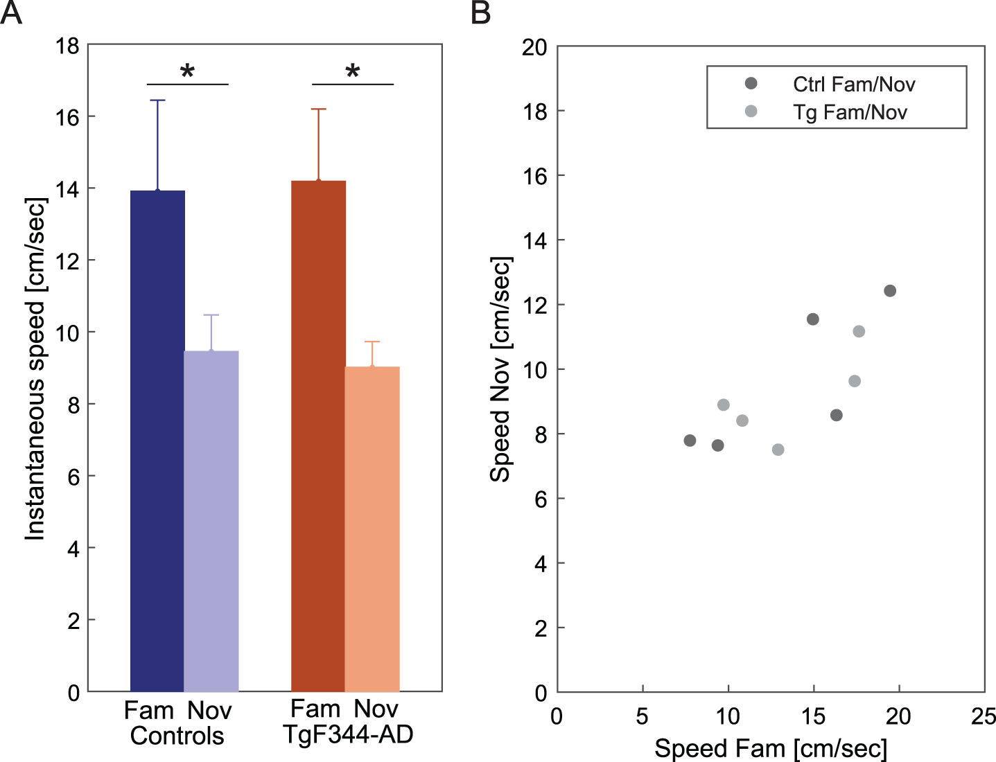 Instantaneous speed in familiar and novel environments. In panel A, a comparison of instantaneous speed (y-axis) between familiar and novel environments across groups (x-axis) reveals a significant decrease within both groups in the novel environment. In panel B, the plot illustrates the average speed of all animals across familiar and novel conditions. Each dot is the value of average speeds performed by one animal in a novel versus familiar environment (a total of 10 dots, 5 animals from each group). *p < 0.05.