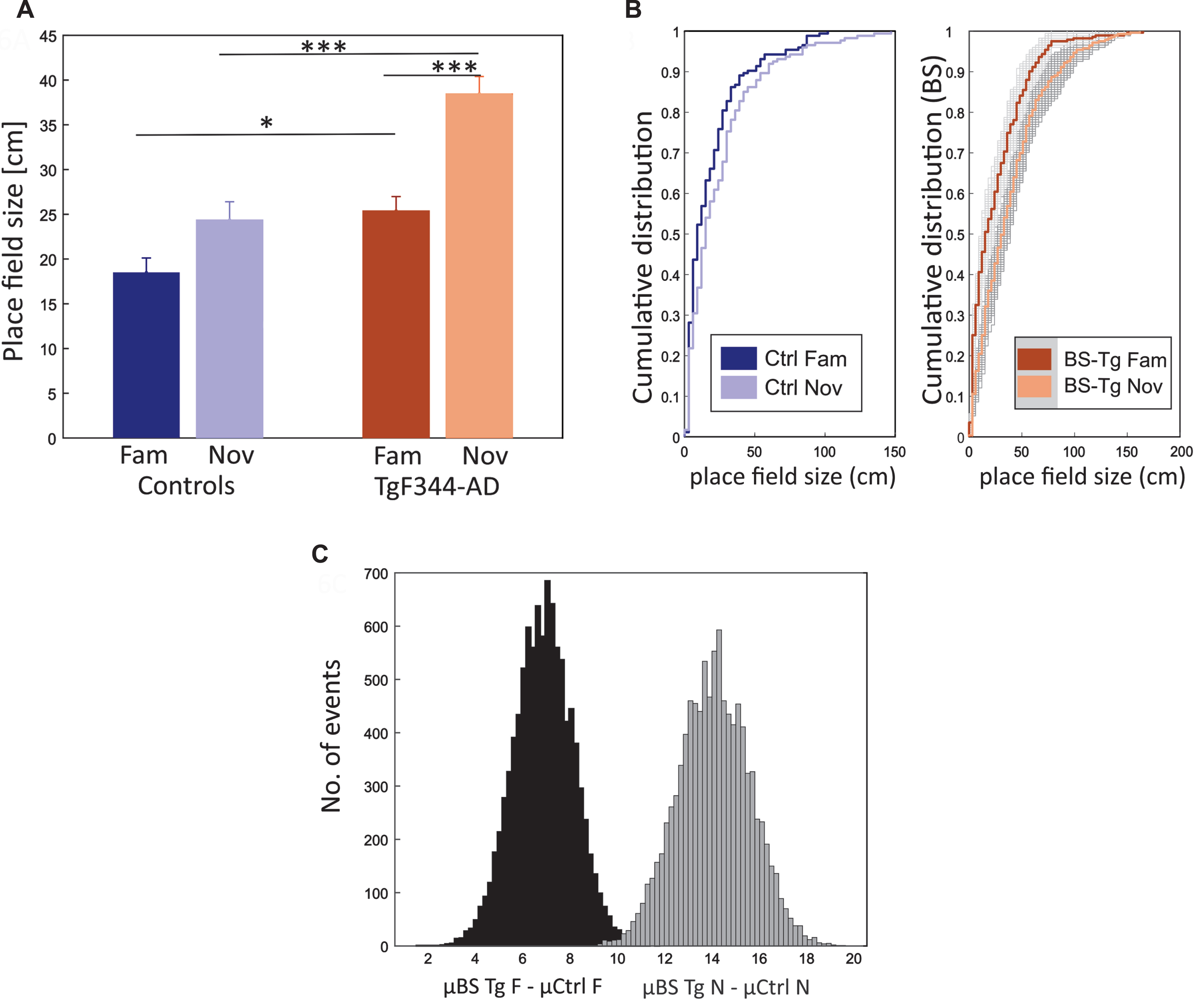 Place field size increase in novel environment within both groups. Panel A shows the comparison of Place Field size (PFs) (y-axis) between groups (x-axis), indicating a significant increase in PFs for TgF344-AD rats in both conditions compared to their control counterparts. Both groups show an increasing trend from familiar to novel conditions, with the change being significant only in the transgenics. Panel B consists of two plots, with the left plot displaying the cumulative distribution (y-axis) of PFs (x-axis) from controls in familiar and novel conditions. The right plot illustrates the cumulative distribution of PFs from bootstrapped transgenic samples within both conditions. Panel C shows a histogram illustrating the bootstrapped distribution of the PFs. The y-axis represents the number of events, while the x-axis shows the sample differences between bootstrapped transgenics (BS Tg) and control animals in familiar (black-shaded) and novel environments (grey-shaded). The criteria for bootstrapping are detailed in the methods section. *p < 0.05, ***p < 0.001.