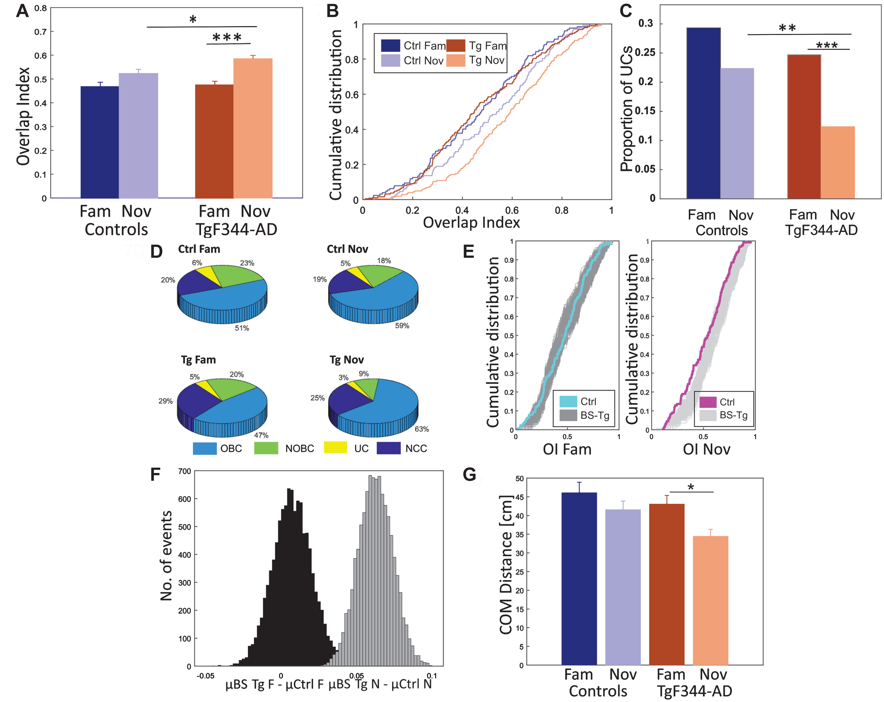 Higher proportion of unidirectional place cells in controls. In panel A, the increase in overlap index (OI) values (y-axis) from the familiar to the novel environment is depicted for both groups (x-axis), with a statistically significant difference observed only in TgF344-AD. The between-group comparison reveals a significantly greater number of overlapping direction-based representations in the novel environment within the transgenics. In panel B, the cumulative distribution (y-axis) of overlap index (x-axis) for both groups under familiar and novel conditions is presented. Panel C displays the proportion of unidirectional place cells (y-axis) over the total spatially selective cells between groups (x-axis). Transgenic animals express a significantly lower proportion of unidirectional cells in the novel environment than controls, while both groups exhibit similar ratios in familiar conditions. TgF344-AD rats show a significant drop in unidirectional cell proportions after exposure to the novel environment. Panel D presents a pie chart illustrating the categorization of all active cells based on their directional specificity within TgF344-AD and controls across both conditions. The criteria for cell classification are described in the methods section. Panel E shows the cumulative distribution (y-axis) of the overlap index (x-axis) among groups with bootstrap testing. The left and right panels display familiar and novel condition data, respectively. Blue and magenta lines represent control data, and shaded areas represent bootstrapped Alzheimer’s samples. In the familiar environment, control OI distribution matches bootstrapped samples, while in the novel track, control data displays lower values. Panel F presents a histogram displaying the bootstrapped distribution of the proportion of UCs. The y-axis represents the number of events, while the x-axis shows the sample differences between bootstrapped transgenics (BS Tg) and control animals in familiar (black-shaded) and novel environments (grey-shaded). The criteria for bootstrapping are described in the methods section. In panel G, the average center of mass (COM) distances (y-axis) between place fields in both directions are depicted across the groups (x-axis). Controls consistently display greater COM distances in both conditions. Within the transgenic group, there is a higher COM distance in the familiar condition and significantly lower values in the novel environment. *p < 0.05, **p < 0.01, ***p < 0.001, ****p < 0.0001.