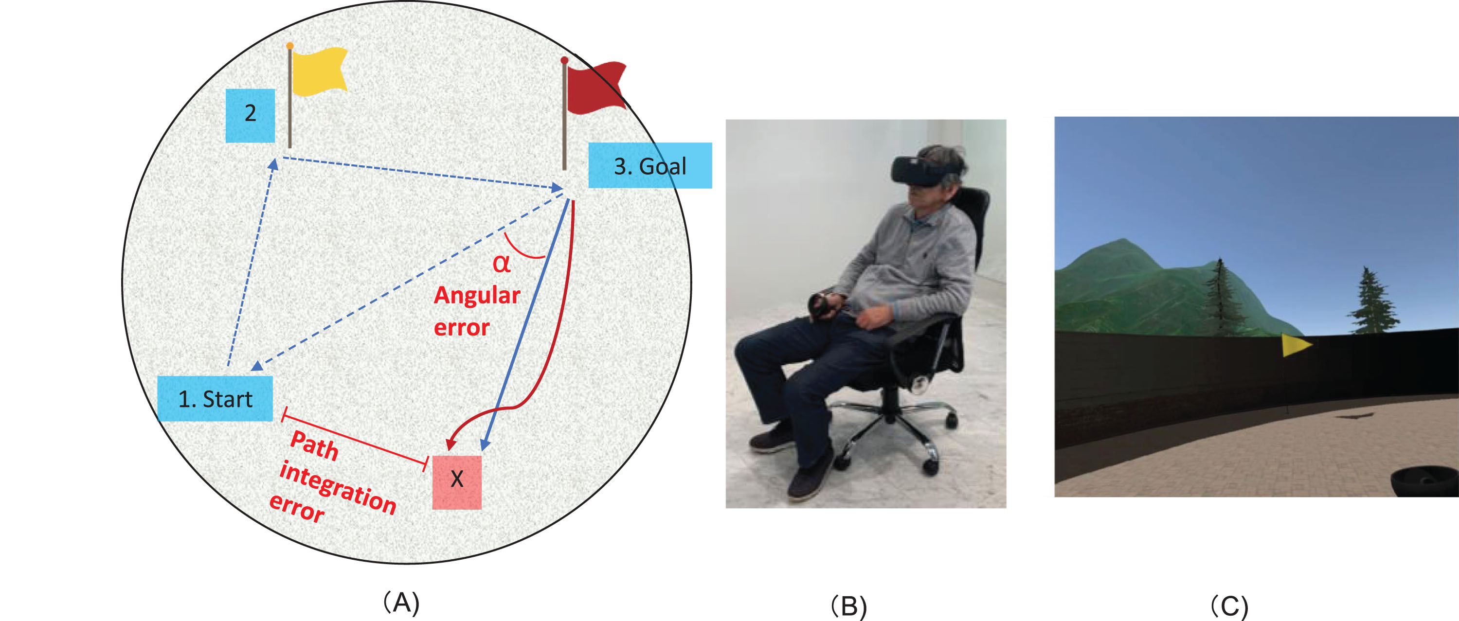 Path integration task. A) Illustration of the path integration task. A subject wearing the VR goggles goes to the indicated location A (yellow flag), and then to a different indicated location B (red flag), and finally returns to the starting point. Point X is the final position, which is hence the point that the subjects consider to be the starting position. The path integration error (the distance between the subject’s final position and the actual starting point), and angular error (the rotation angle between the straight line connecting the goal and the starting point, and the straight line connecting the goal and point X) were measured. B) Demonstration of the VR equipment, with a subject wearing 3D VR goggles seated on a swivel chair during the task. C) An example of the environment that is observed from the goggles, showing the yellow flag.