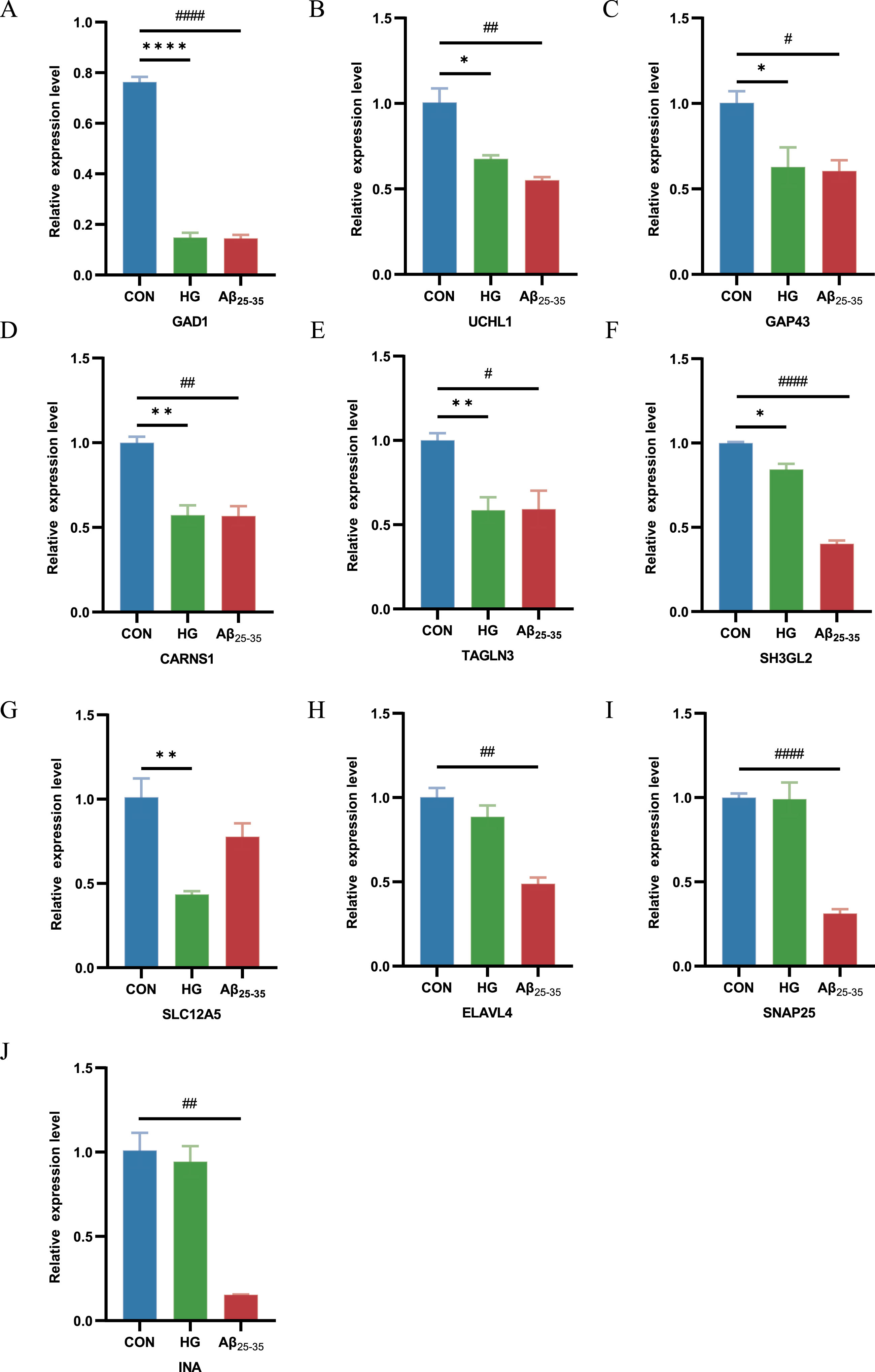 RT-PCR for the expression of common genes in HG-cultured HT22 cells samples and Aβ25-35-cultured HT22 cells samples compared with control samples. *p < 0.05, #p < 0.05, **p < 0.01, ##p < 0.01, ****p < 0.0001 and ####p < 0.0001.