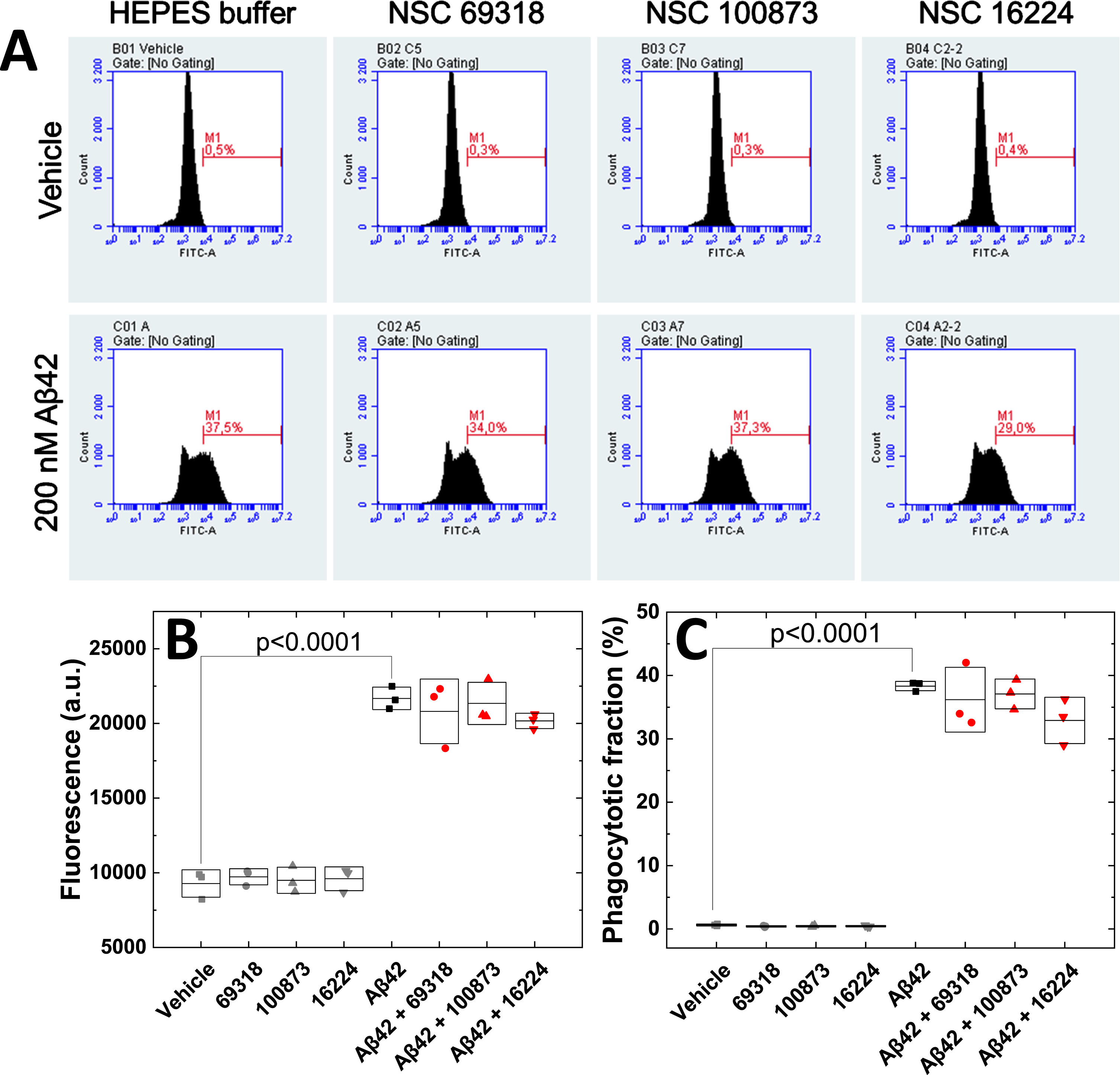 Analysis of Aβ42 phagocytosis by human microglia-like cells. Phagocytosis of Aβ42 by differentiated human THP-1 (dTHP-1) cells was analyzed using flow-cytometry. Differentiated dTHP-1 cells were incubated with vehicle, 200 nM Aβ42-488, 200 nM of each compound, or 200 nM Aβ42-488 + the 200 nM compound. A) Distribution of fluorescence intensity of Aβ42-488 in the dTHP-1 cells. Average fluorescence intensity (B) and percentage of dTHP-1 cells that had taken up Aβ42-488 (C). Three independent experiments were performed.