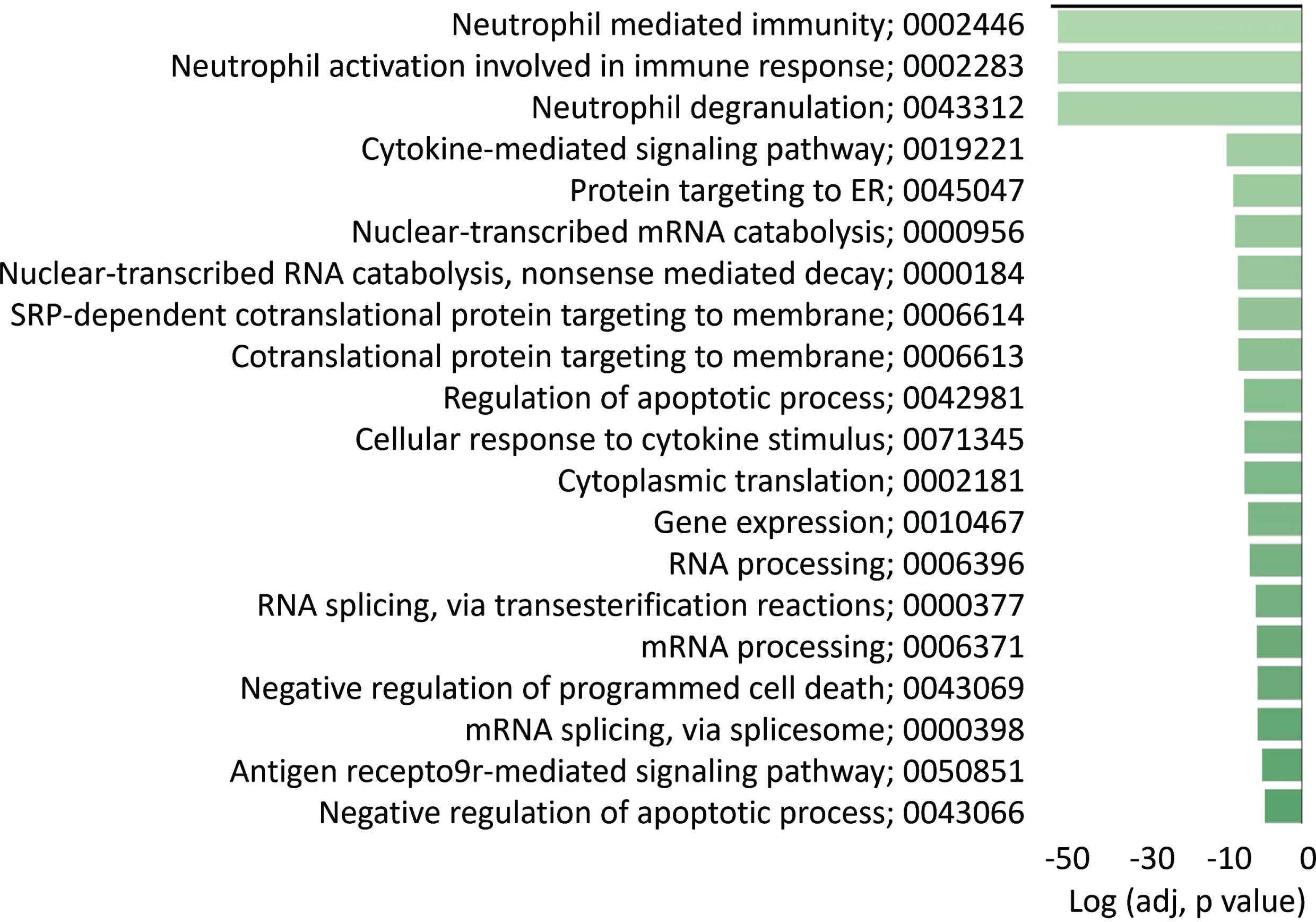 Gene expression pathway analysis. The differentially expressed genes in the AD classifier signature were used to carry out analysis of what molecular pathways were differentially expressed. Gene set enrichment was performed using the Gene Ontology database for biological processes with a p value threshold of 0.05. The 20 most significant identified pathways are depicted, ranked by log adjusted p value for each.