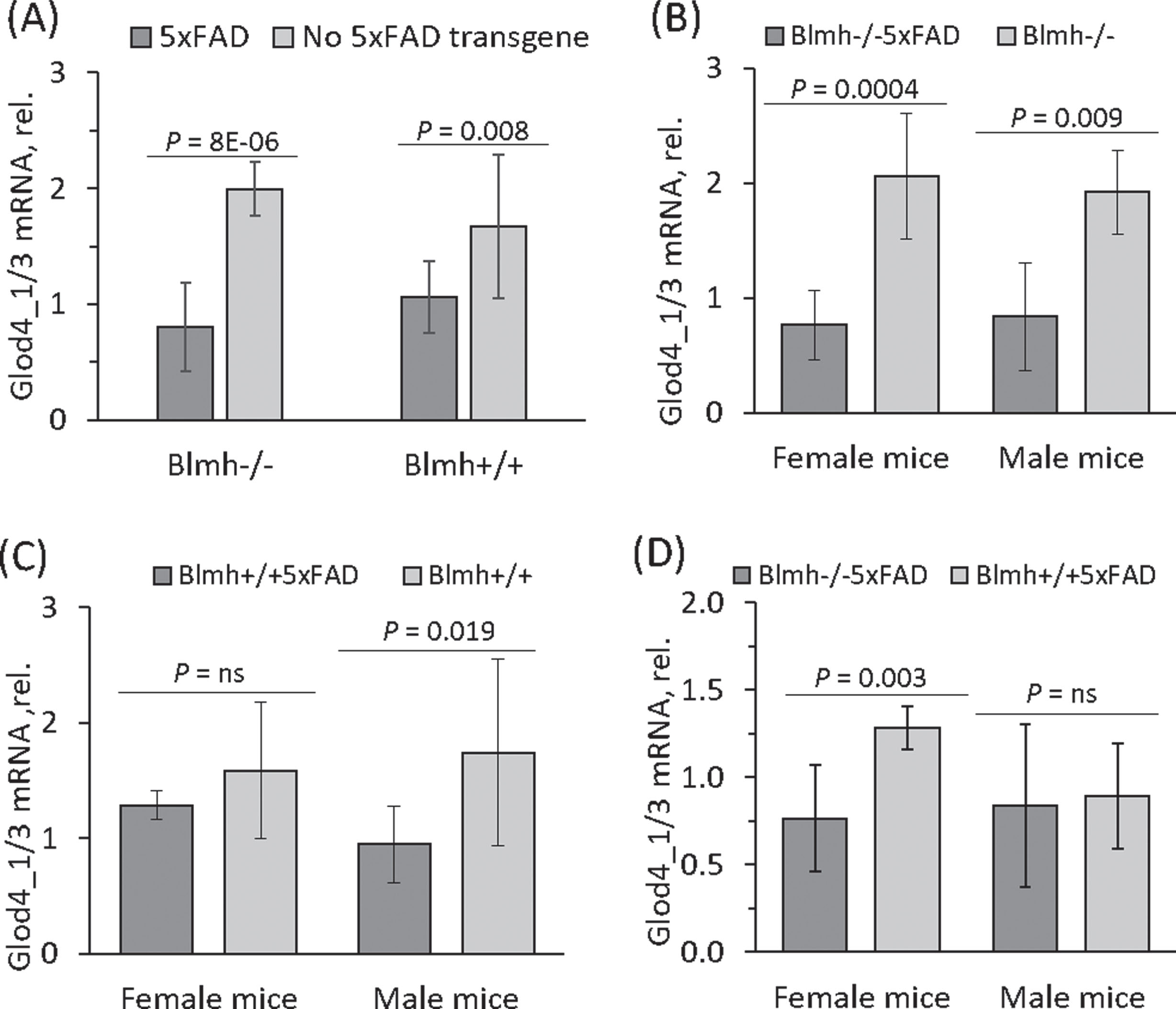 Effects of 5xFAD transgene and sex on Glod4_1/3 expression in Blmh–/– and wild type Blmh+/+ mice. Five-month-old Blmh–/–5xFAD (n = 22), Blmh+/+5XFAD (n = 15), Blmh–/– (n = 7), and wild type Blmh+/+ (n = 4) mice of both sexes were used in the experiments. Glod4_1/3 mRNA was quantified by RT-qPCR using Actb mRNA as a reference. A) 5xFAD transgene reduced Glod4_1/3 mRNA expression both in Blmh–/– and wild type Blmh+/+ mice. B) In Blmh–/– mice, 5xFAD transgene reduced Glod4_1/3 mRNA expression independently of sex. C) In Blmh+/+ mice, 5xFAD transgene reduced Glod4_1/3 mRNA expression only in males but not females. D) Blmh–/– genotype reduced Glod4_1/3 mRNA expression only in 5xFAD females but not males. p-values were calculated by an unpaired two-sided Student t test.