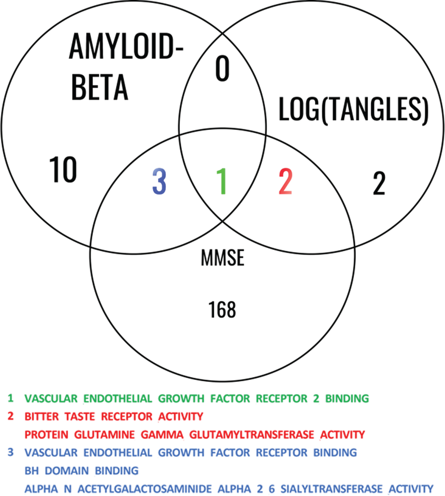 Common significant pathways for Aβ, log(tangles), and MMSE. This Venn diagram illustrates the common pathways identified among the studies involving Aβ, log(tangles), and MMSE. The diagram consists of overlapping circles that represent each study, with labeled sections indicating the shared pathways among them. The shared pathways are listed within the diagram, providing a concise overview of the biological processes and molecular mechanisms that are consistently implicated across these phenotypes. This analysis highlights the interconnectedness of these factors and underlying gene ontology molecular function (GOMF) pathways that contribute to the associations between Aβ, log(tangles), and MMSE.