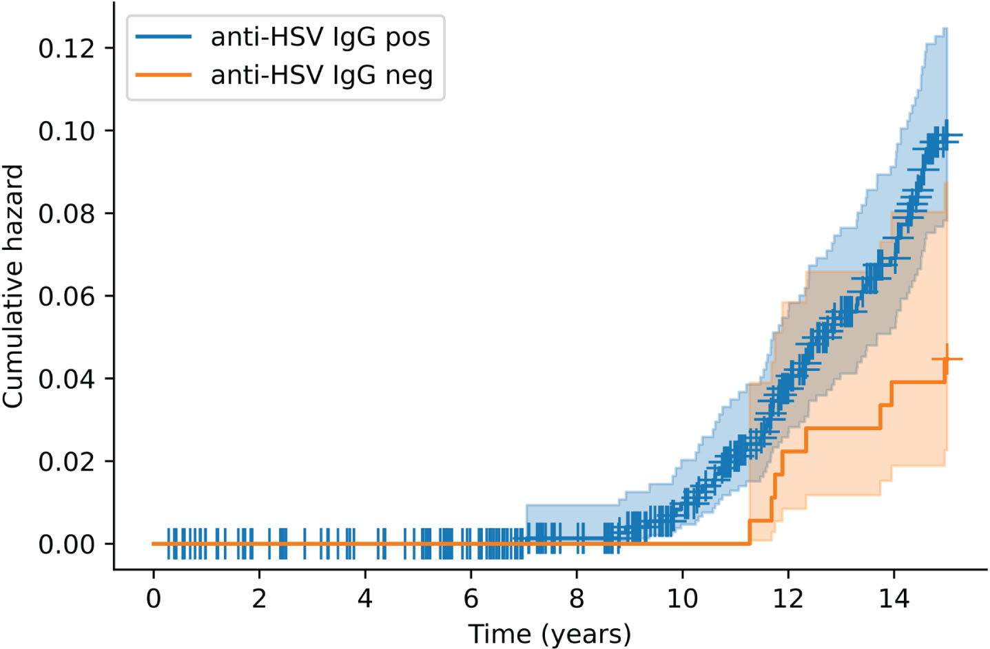 Kaplan–Meier cumulative hazard of incident dementia according to anti-HSV IgG positivity. Each + denotes a censored observation. HSV, herpes simplex virus; IgG, immunoglobulin G.