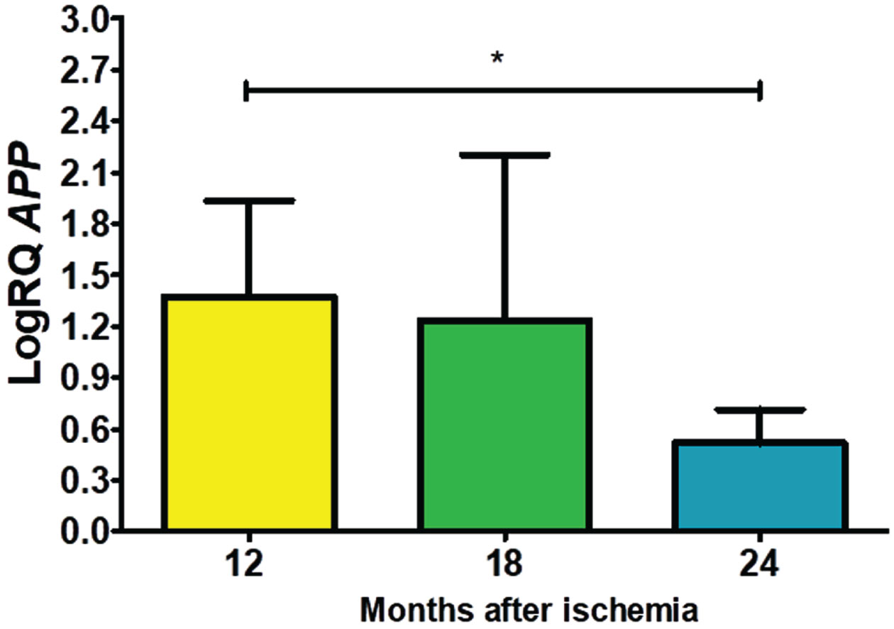 The mean gene levels of APP gene expression in the CA3 region 12 (n = 10), 18 (n = 9), and 24 (n = 10) months following brain ischemia. Marked SD, standard deviation. Kruskal-Wallis test. *p≤0.05.