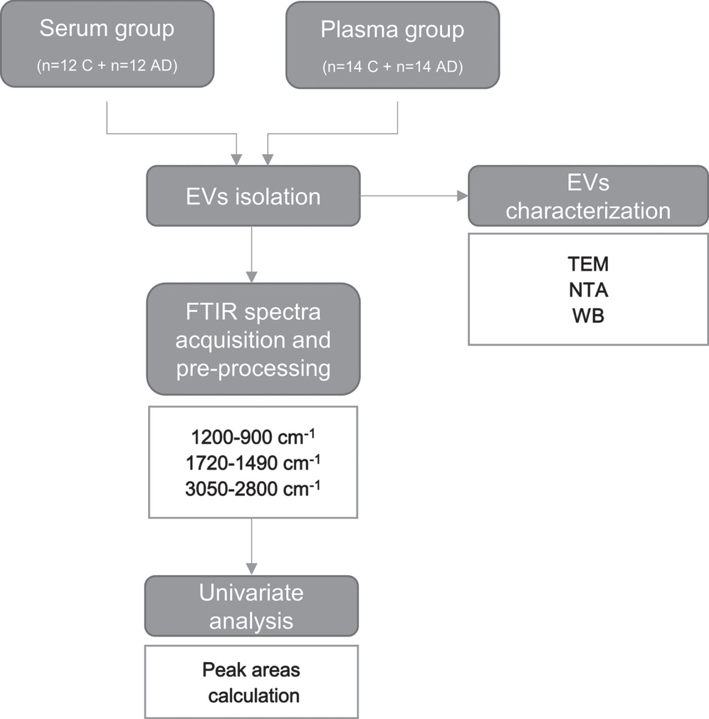 Workflow for FTIR analysis of serum- and plasma-derived EVs. EVs were isolated from serum or plasma of two distinct sets of individuals (Controls and AD cases). Blood-derived EVs were characterized by transmission electron microscopy (TEM), nanoparticle tracking analysis (NTA) and western blot (WB) analysis. FTIR spectra was acquired from serum- and plasma-derived EVs and pre-processed in the 1200–900 cm–1, 1720–1490 cm–1 and 3050–2800 cm–1 regions. A univariate analysis consisting in the calculation of the second derivative peak area was carried out. Serum-derived EVs characterization and univariate analysis results for the 1200–900 cm–1 spectral region, mainly assigned to carbohydrates and nucleic acids have been previously published by us [26]. AD, Alzheimer’s disease; C, controls; EVs, extracellular vesicles; FTIR, Fourier Transform Infrared; NTA, nanoparticle tracking analysis; TEM, transmission electron microscopy; WB, western blot.