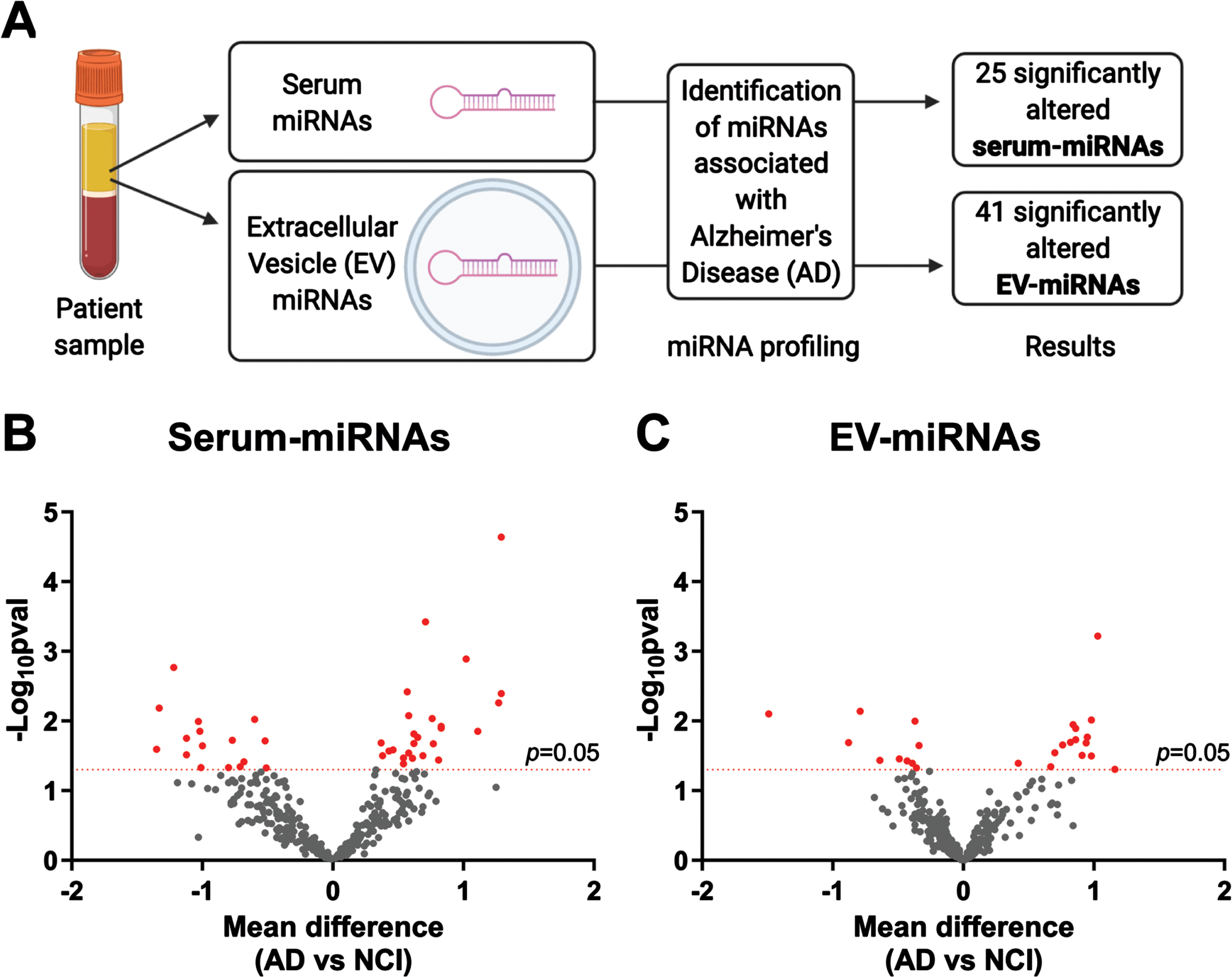 Profiling of serum-miRNAs and EV-miRNAs in AD. (A) Summary of study design and main results. Volcano plots showing the differential expression of (B) serum-miRNAs and (C) EV-miRNAs in AD patients versus NCI controls. The x-axis shows the mean difference of each miRNA expression level between AD patients and NCI controls and the y-axis shows -log10 of p-values obtained from corresponding t-tests. Each dot represents miRNAs detectable in the EV (n = 352) and serum (n = 291) sample pools. Red dots indicate a significant mean difference of n = 25 serum-miRNAs and n = 41 EV-miRNAs in AD compared to NCI controls (p < 0.05, two-tailed t-tests).